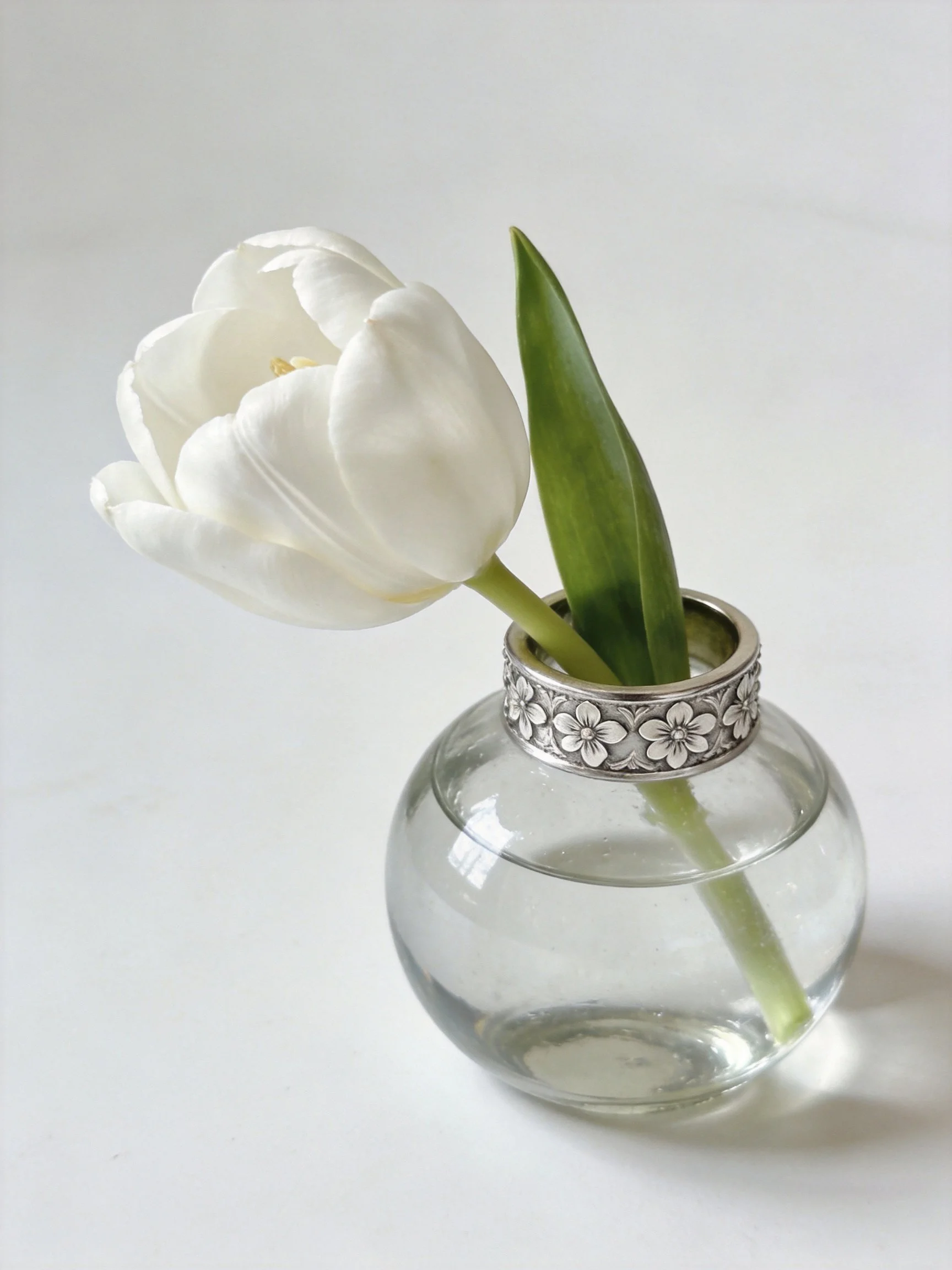 Single white tulip in a round glass vase with silver floral band