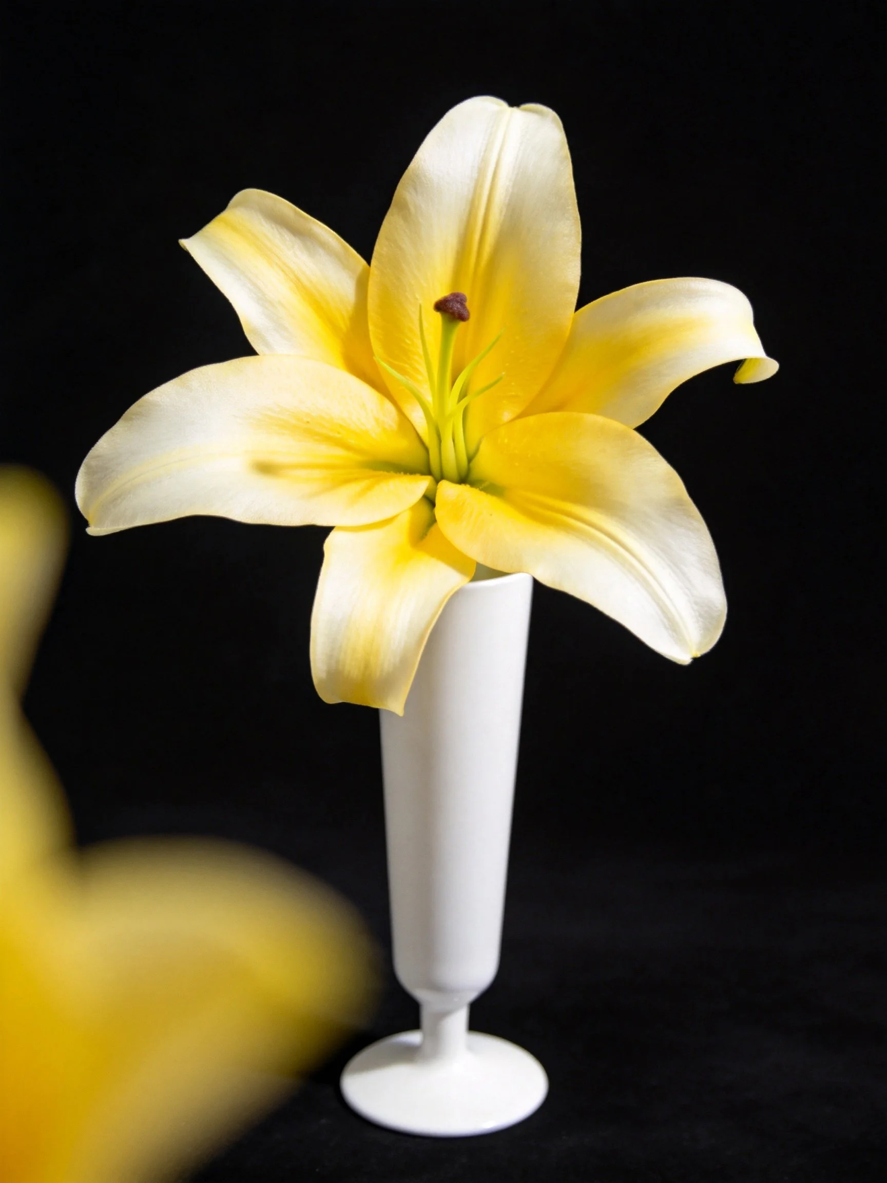 Single yellow lily in white vase with black background