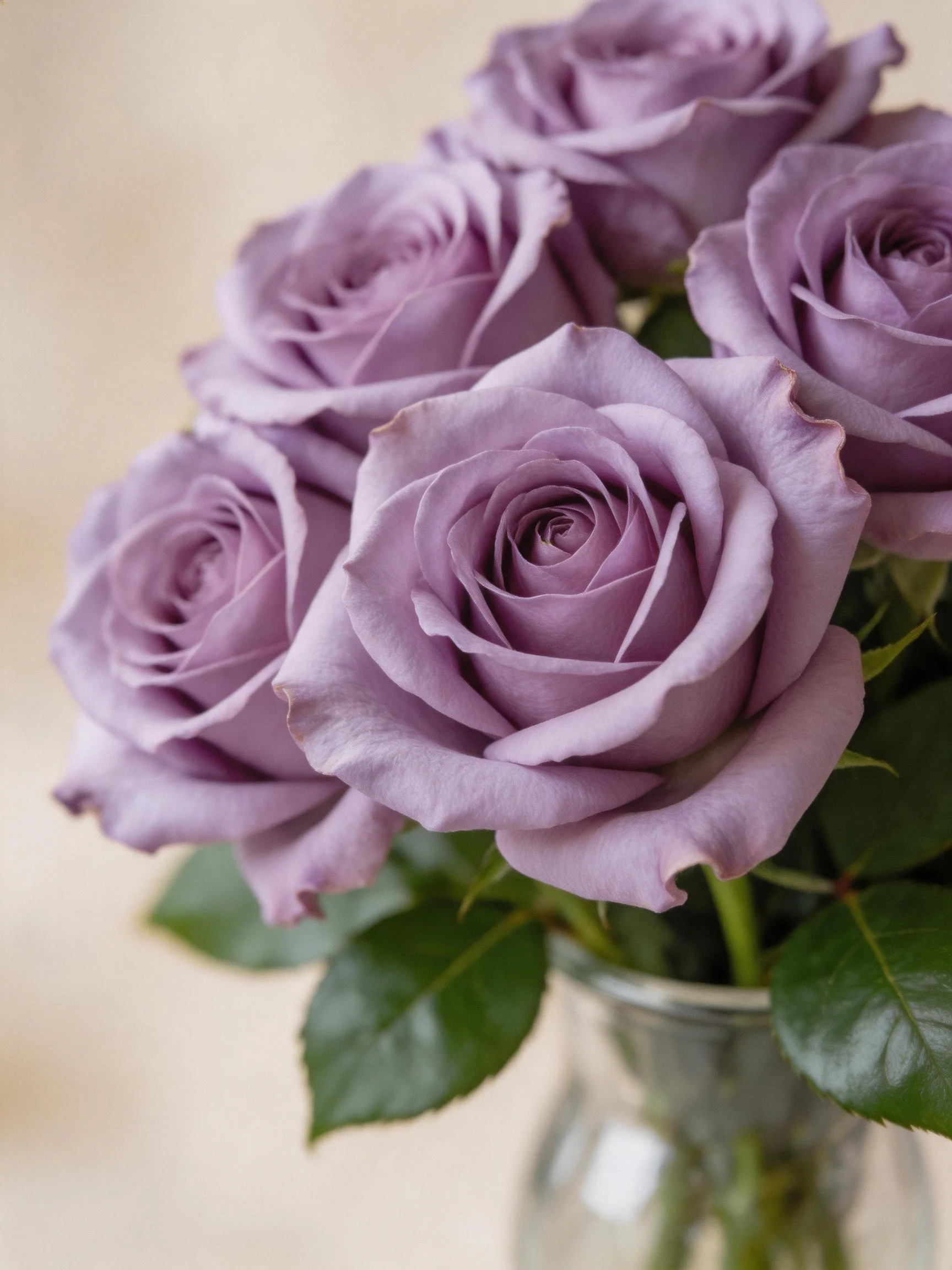 Six lavender roses arranged in a clear glass vase