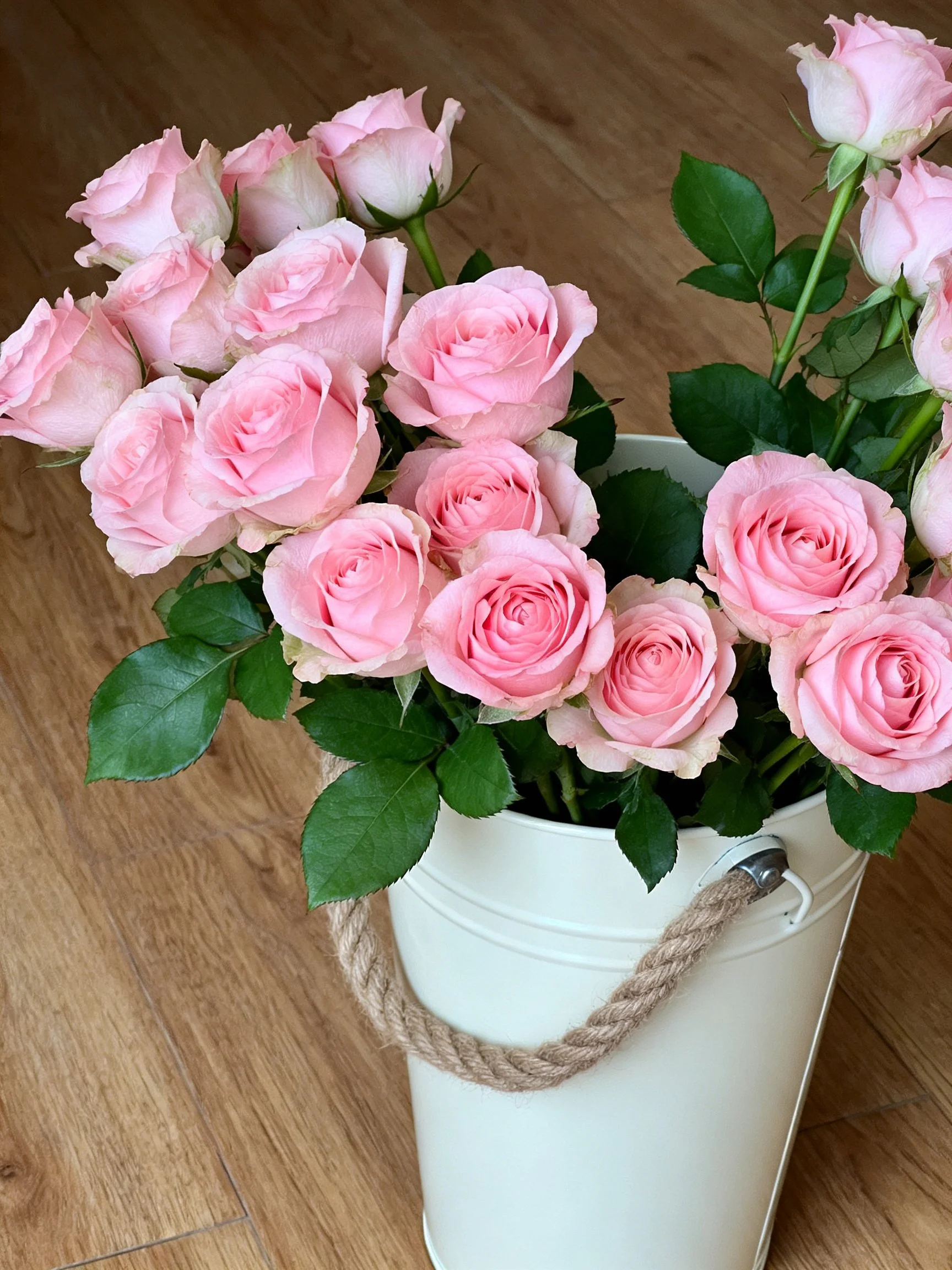Soft pink roses arranged in a white bucket with rope handle