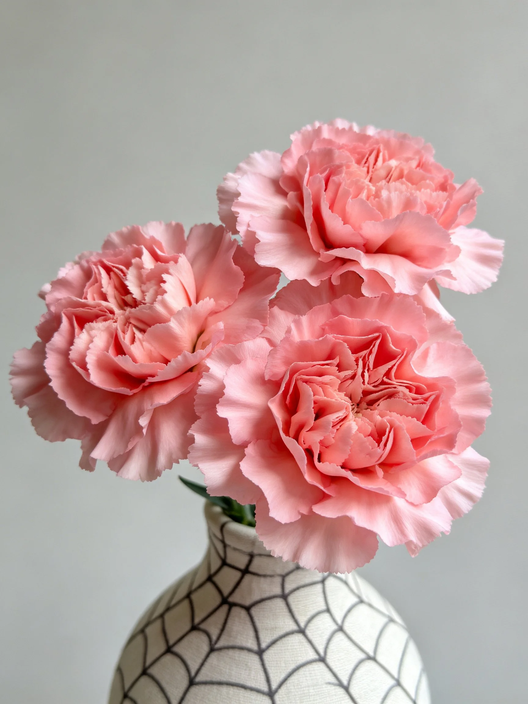 Three pink carnations in a spiderweb-decorated vase