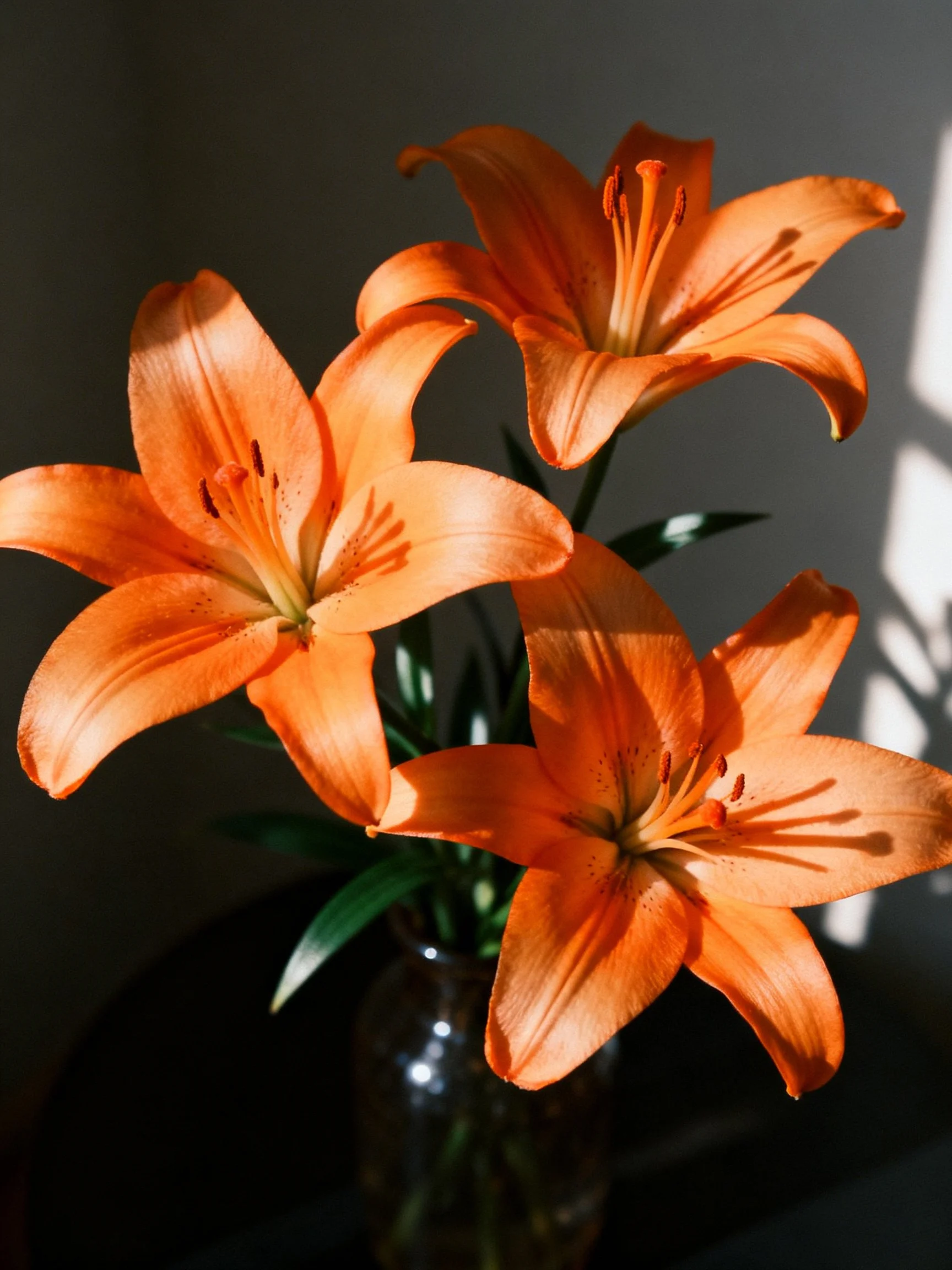 Three vibrant orange lilies arranged in a glass vase