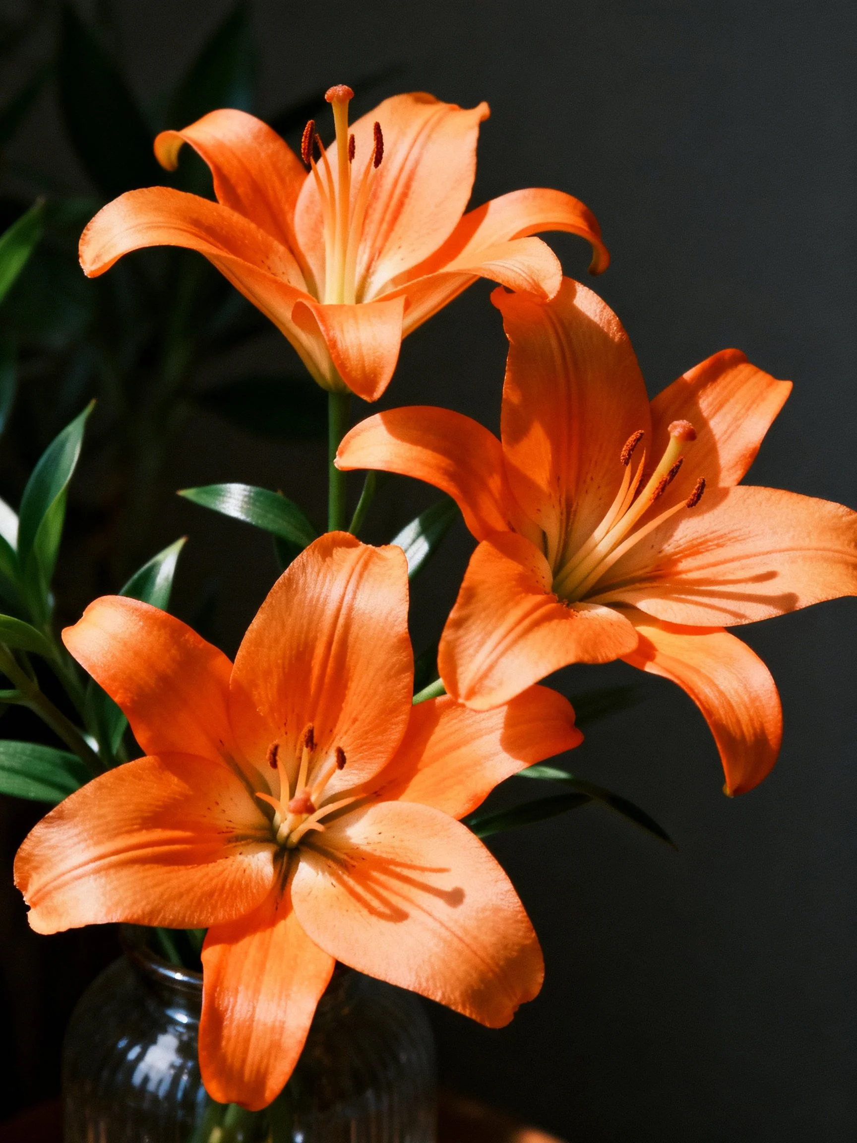 Three vivid orange lilies arranged in a glass vase
