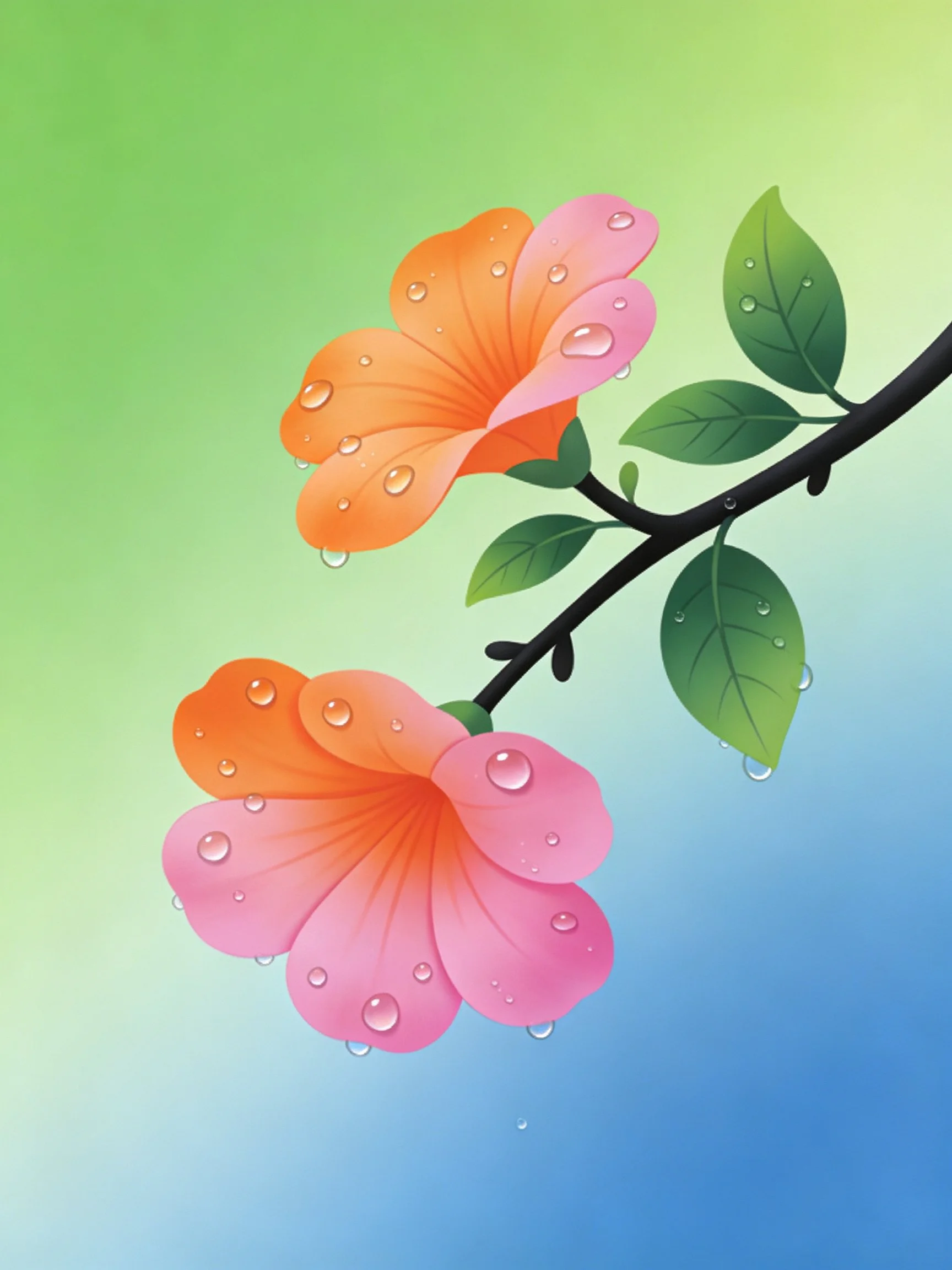 Two orange-pink flowers with water droplets on a branch with green leaves