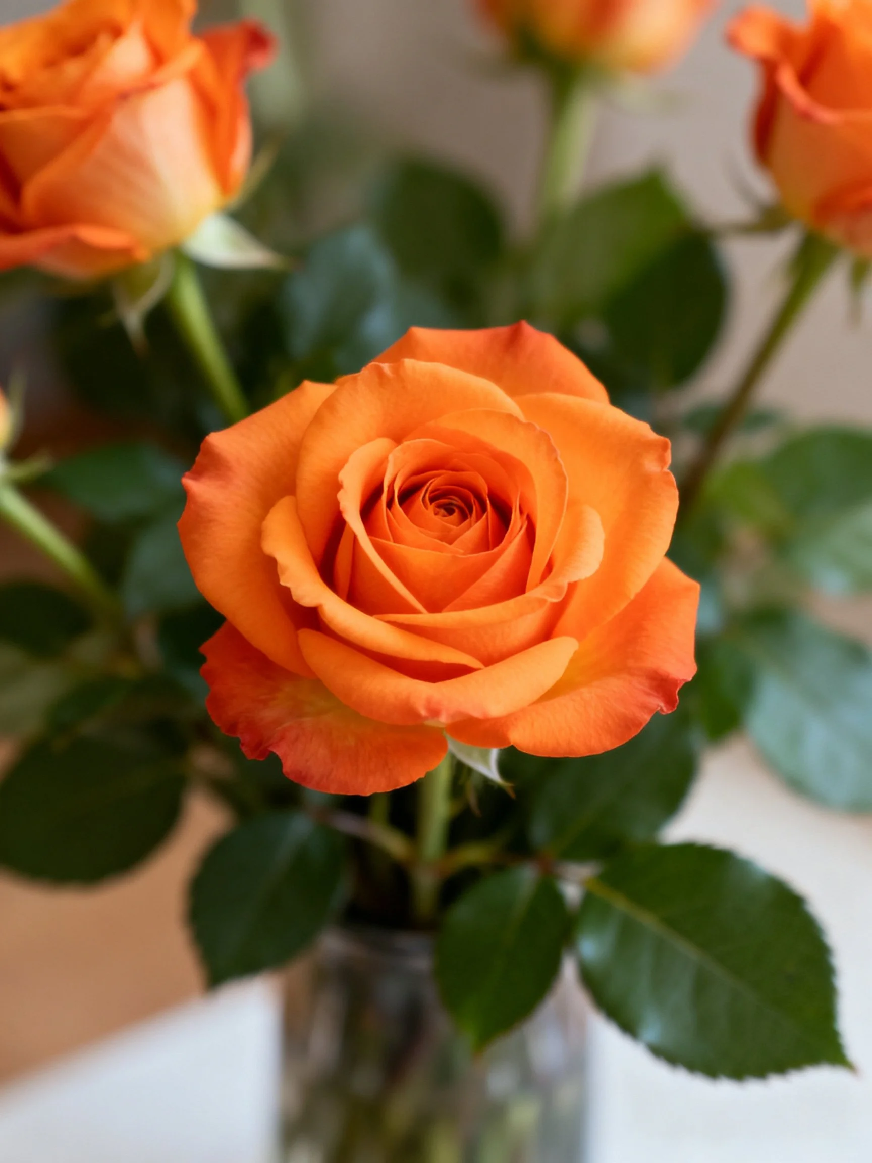 Vibrant Orange Roses Arranged in a Glass Vase