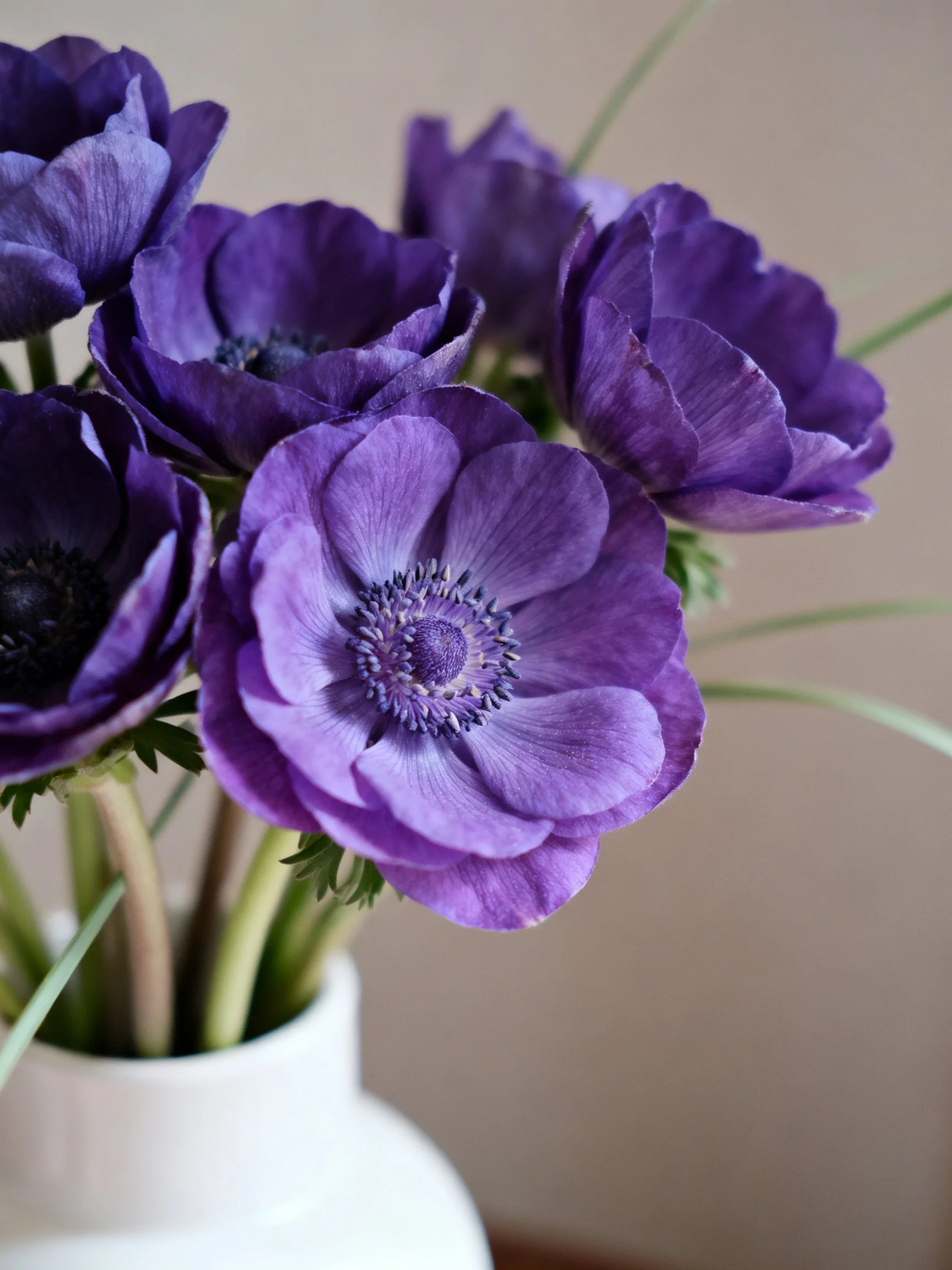 Vibrant Purple Flowers Arranged in a White Vase