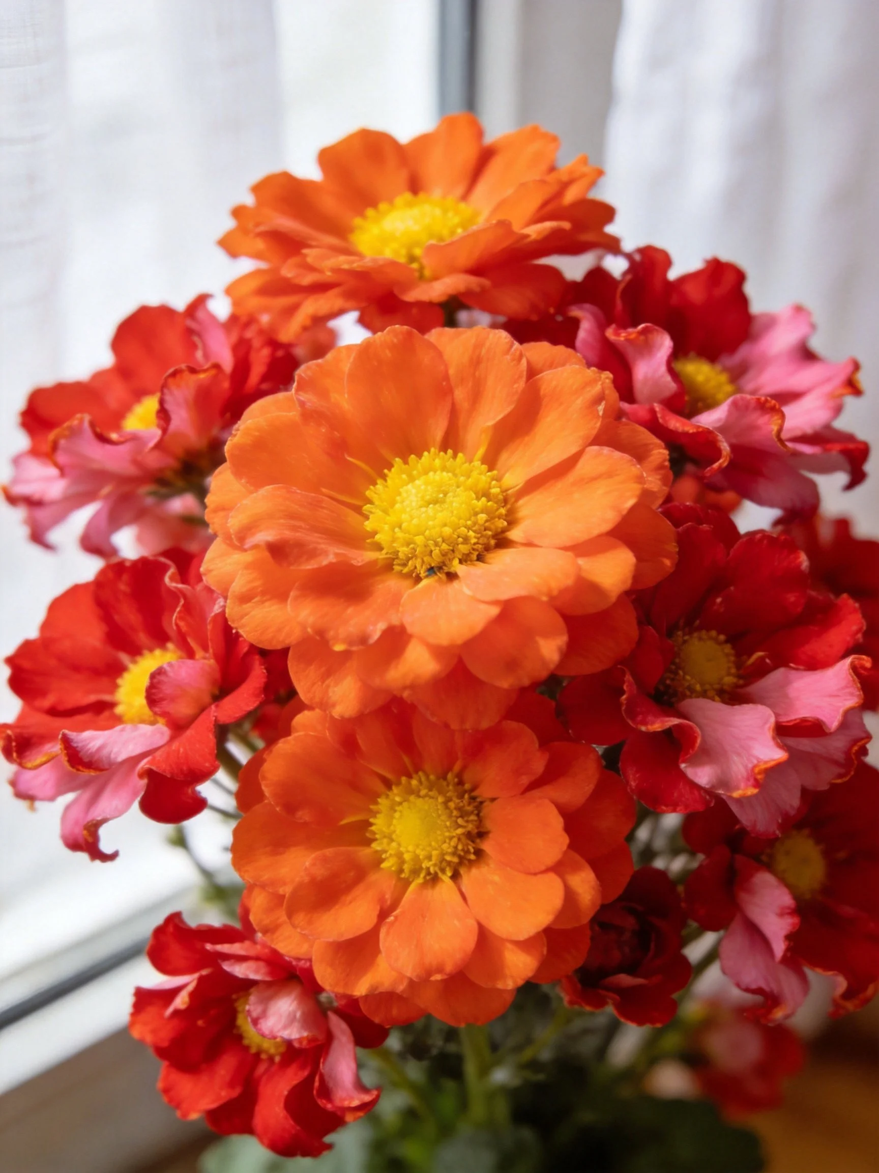 Vibrant bouquet of orange and pink flowers near window