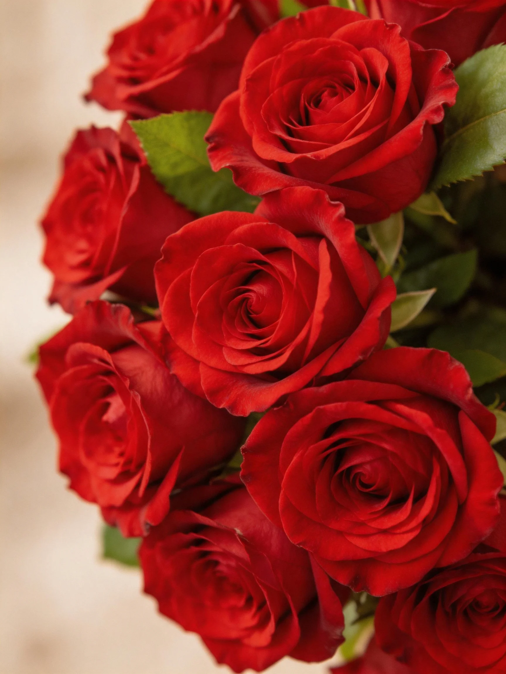 Vibrant bouquet of red roses with green foliage