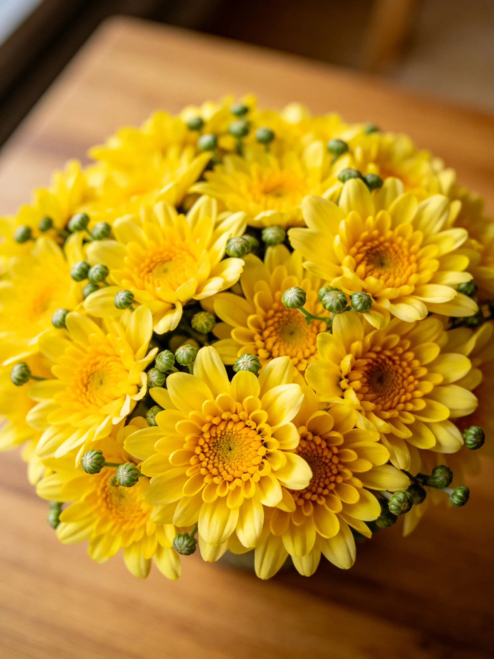 Vibrant bouquet of yellow chrysanthemums with green buds