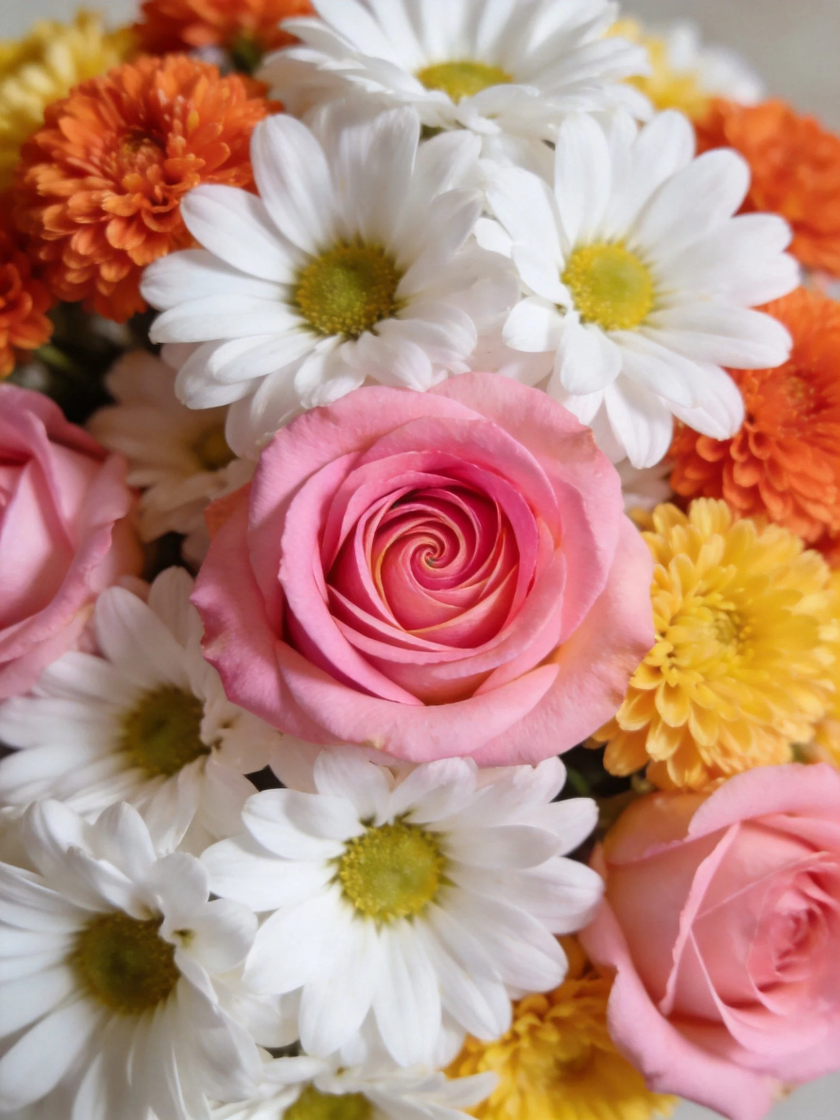 Vibrant floral arrangement with pink roses, white daisies, orange, and yellow blooms