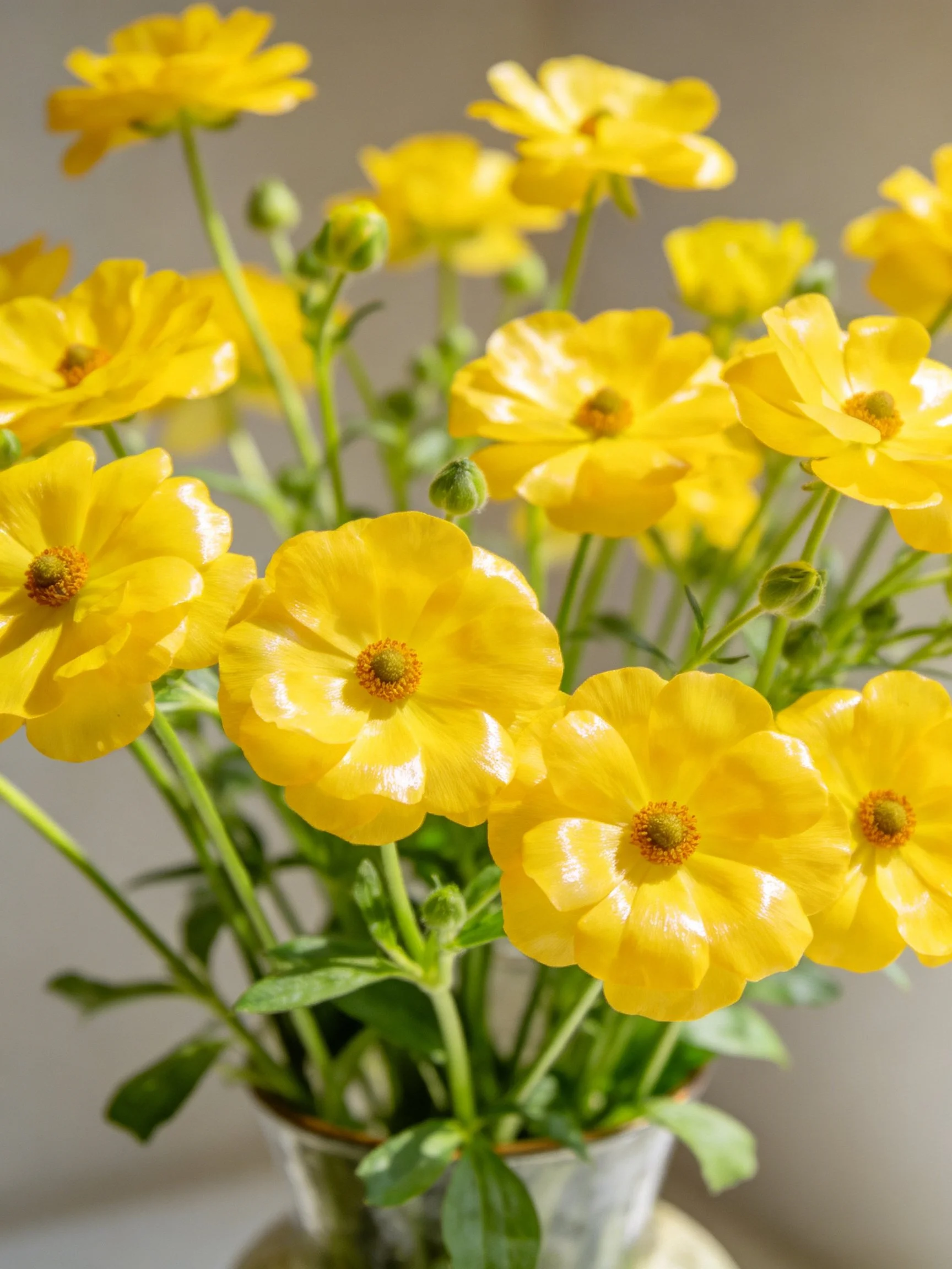 Vibrant yellow flowers arranged in a glass vase with green stems