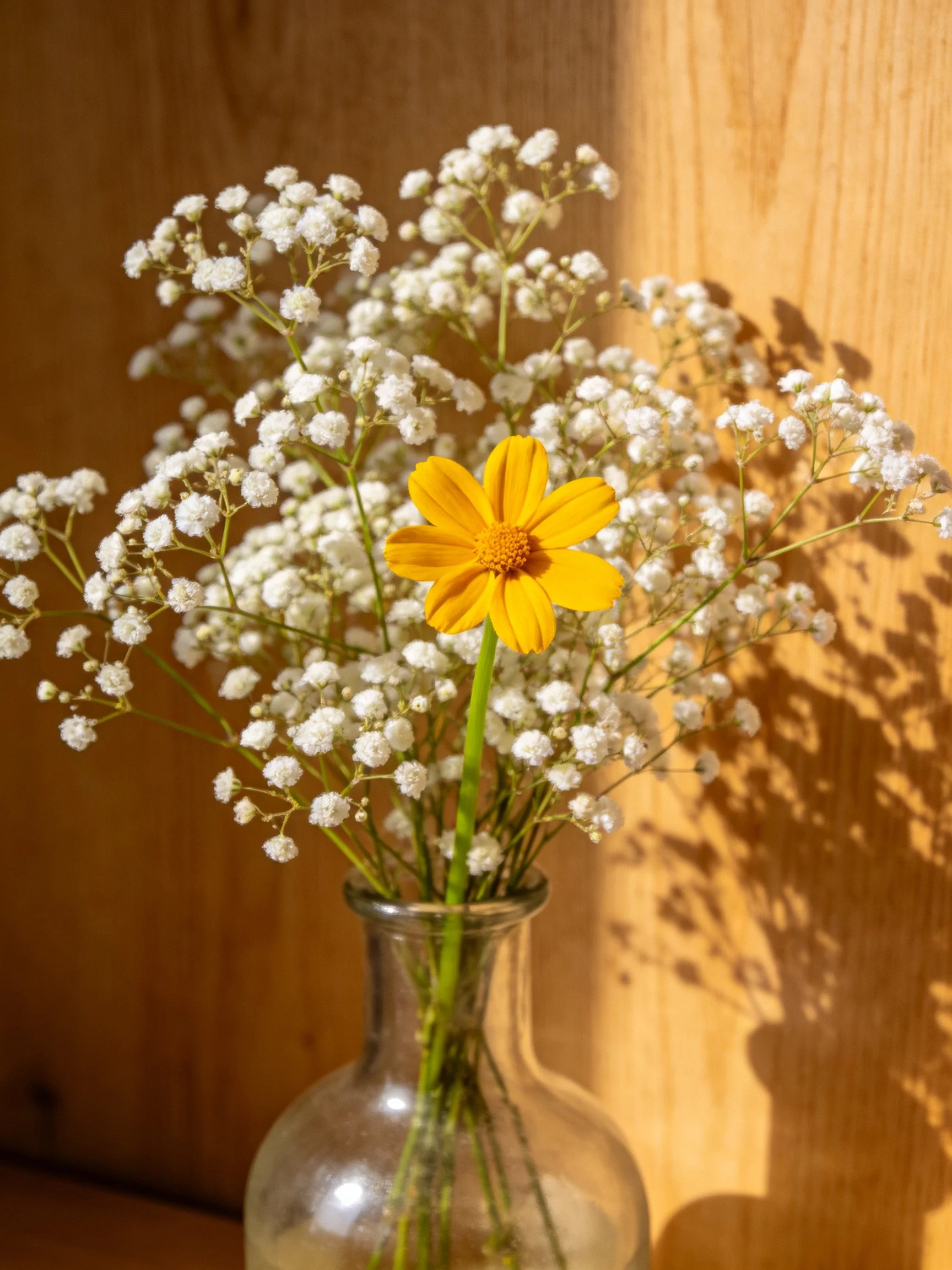 Yellow flower amid white blooms in glass vase on wood