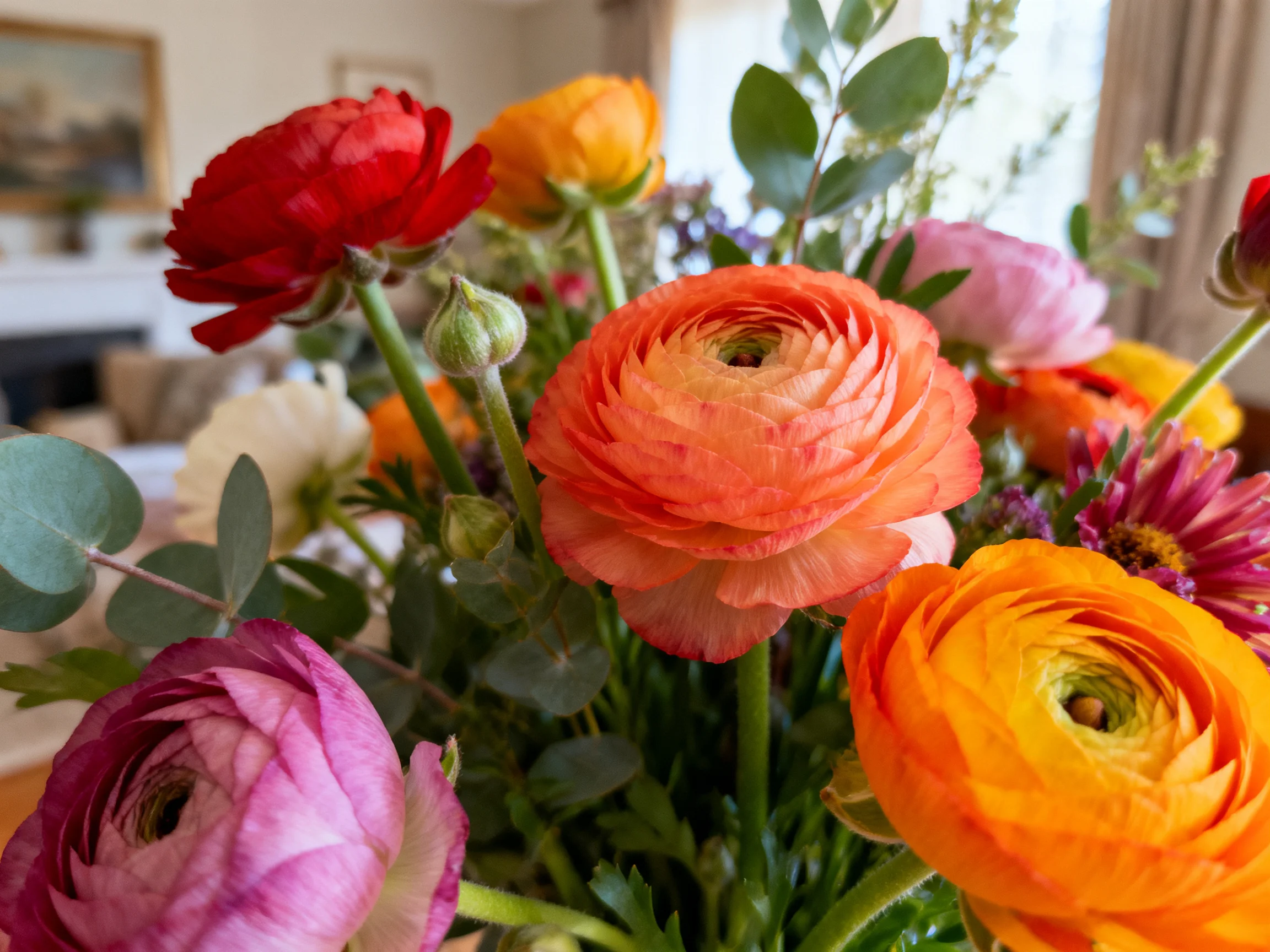 A vibrant bouquet of multicolored ranunculus and foliage in an indoor space