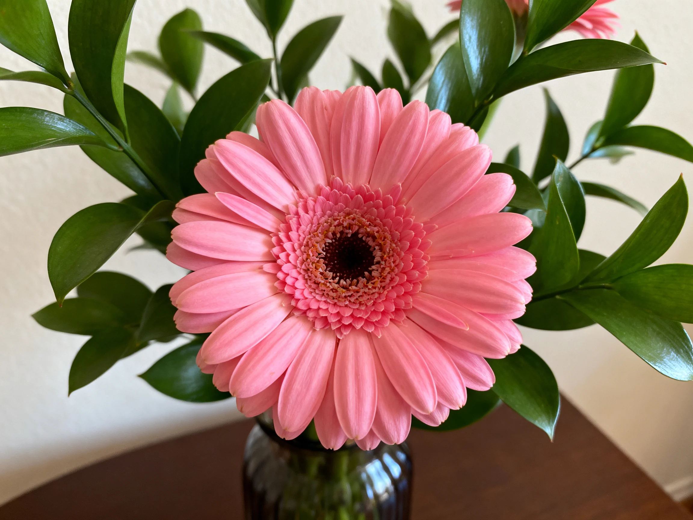 A vibrant pink gerbera flower with lush green foliage in a glass vase