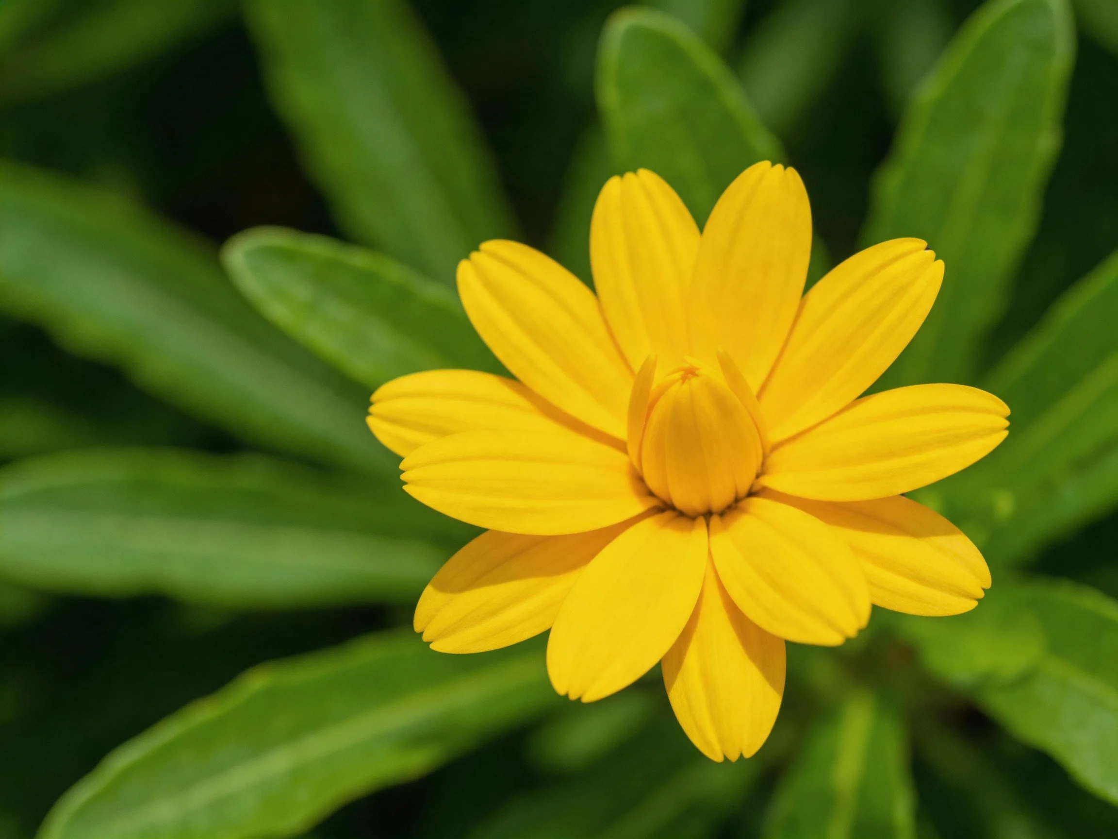 A vibrant yellow flower blooms amid lush green foliage