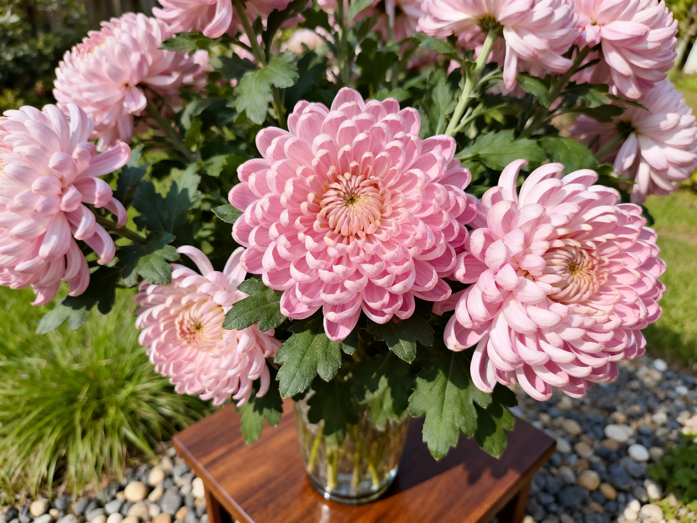Pink Chrysanthemums in a Glass Vase on a Wooden Table