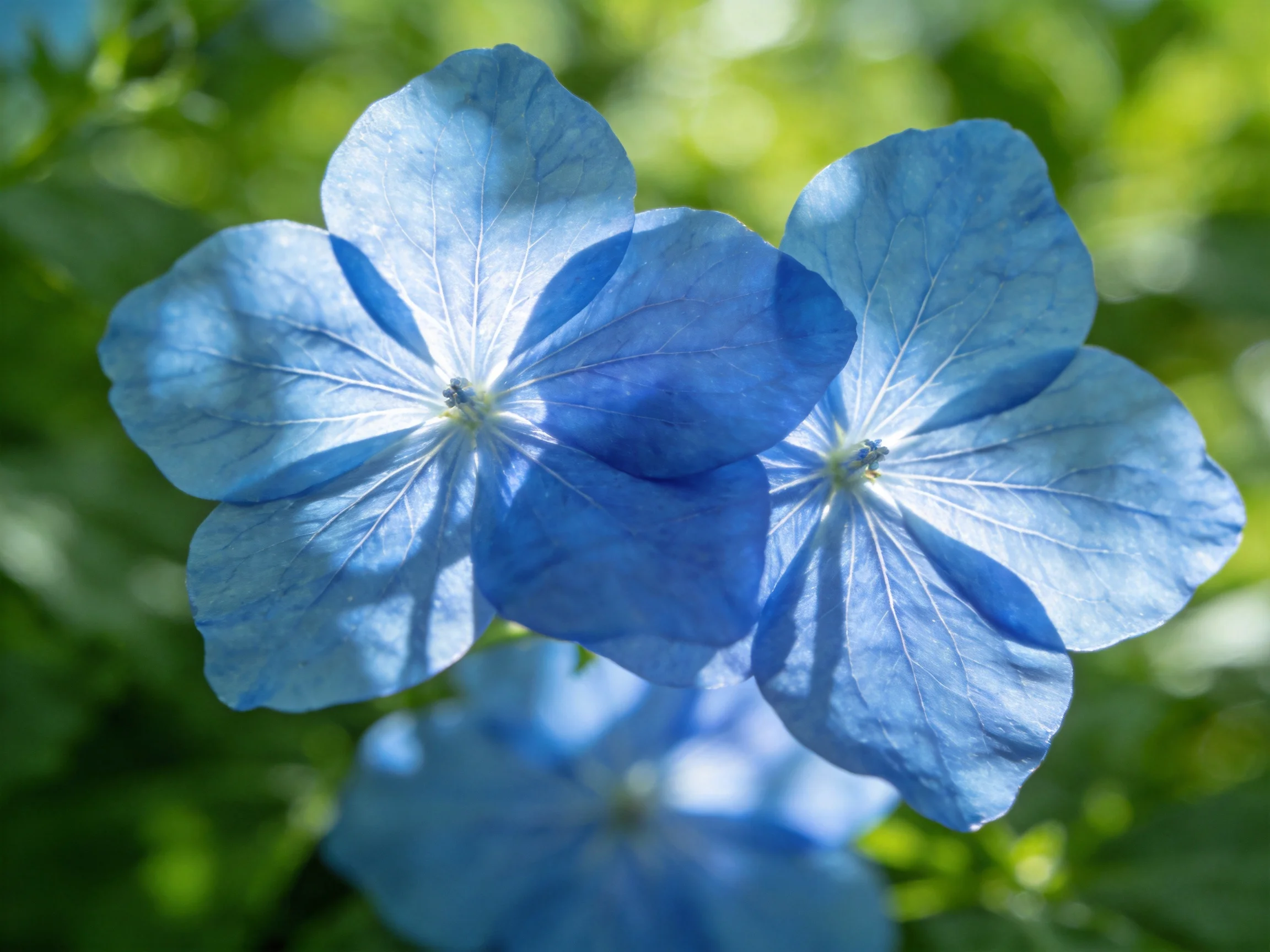Two vibrant blue flowers bloom against a lush green backdrop