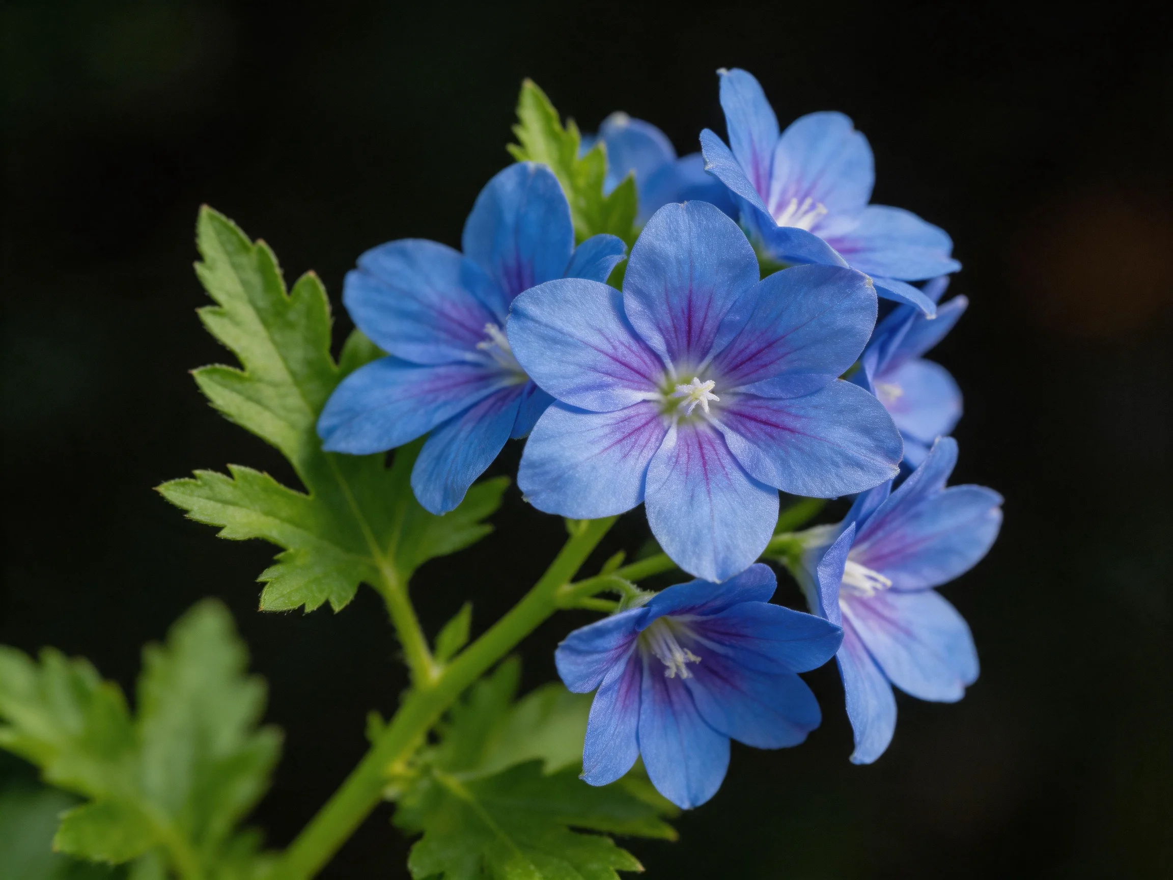 Vibrant blue flowers clustered among lush green leaves