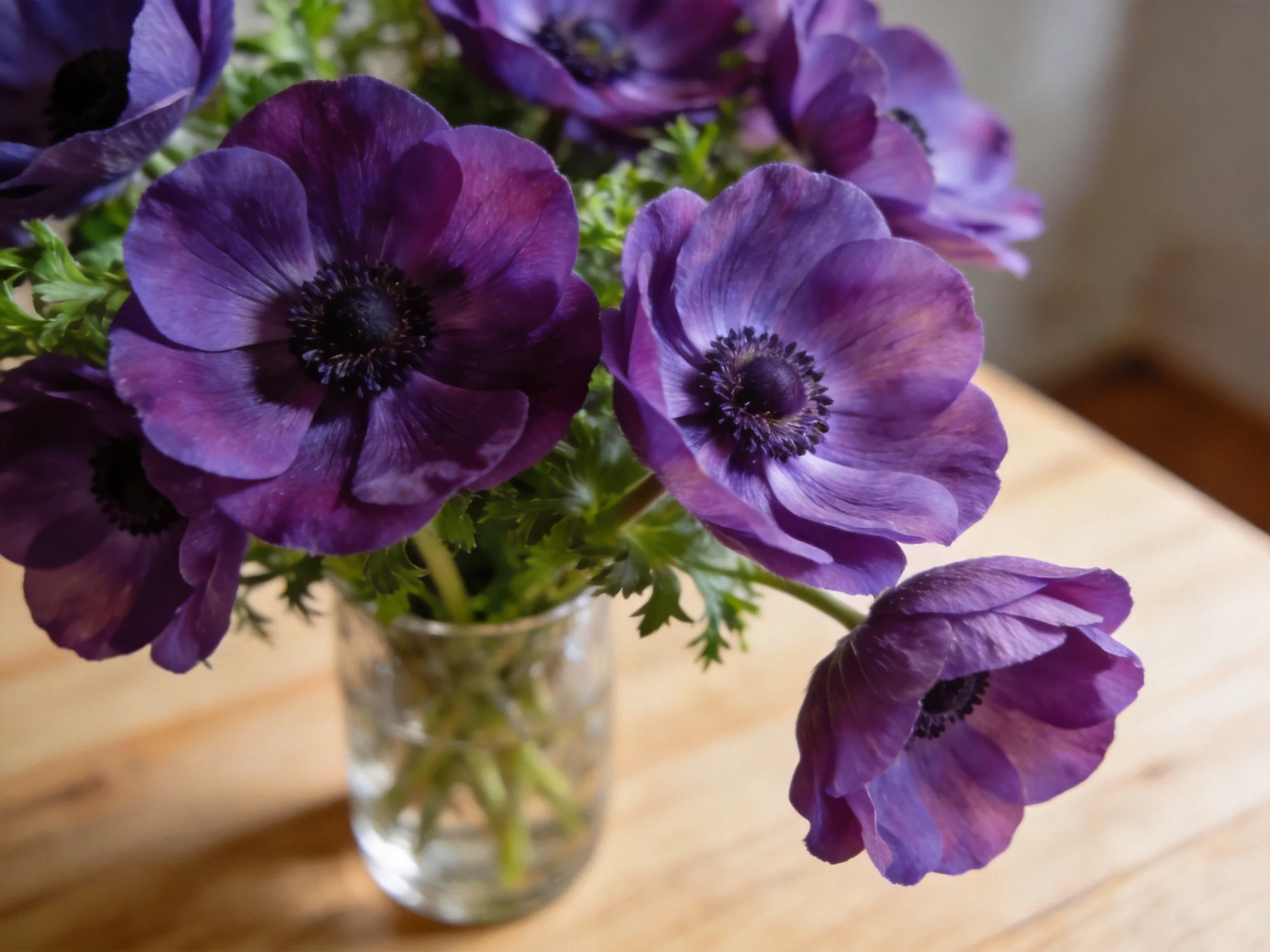 Vibrant purple anemones arranged in a clear glass vase on a wooden surface