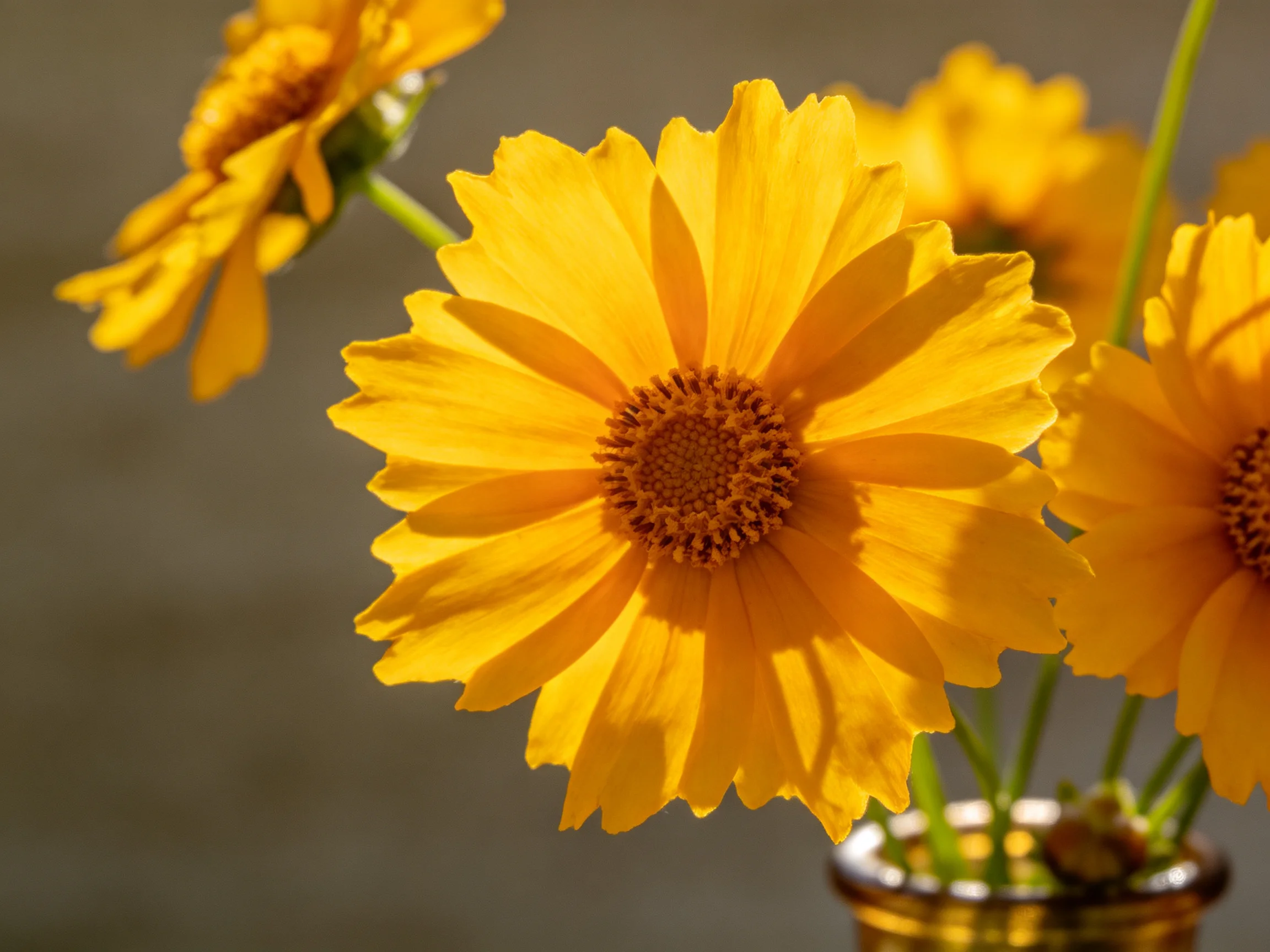 Vibrant yellow flowers arranged in a small glass vase