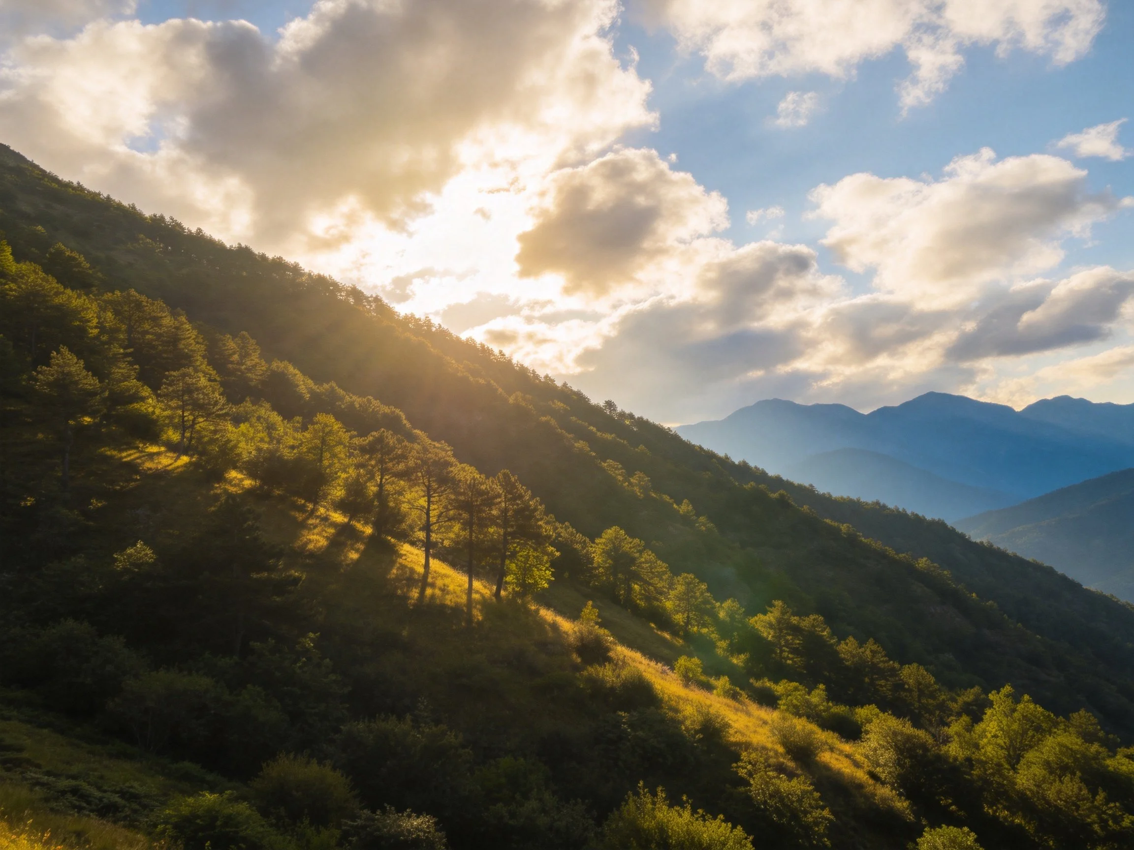 A Golden Sunlit Forested Mountain Slope with Distant Peaks