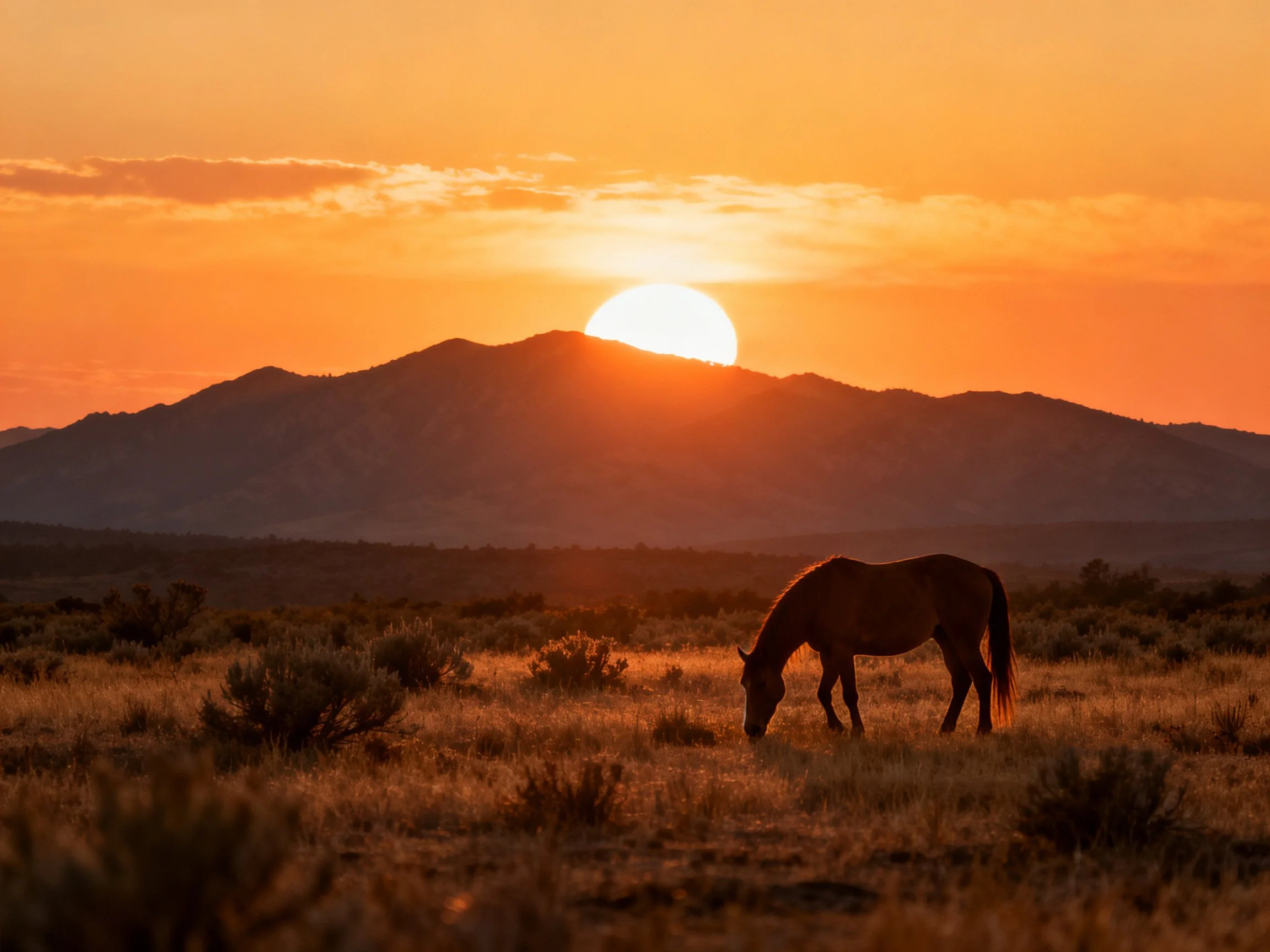 A Horse Grazes Under a Golden Sunset Over Mountainous Terrain