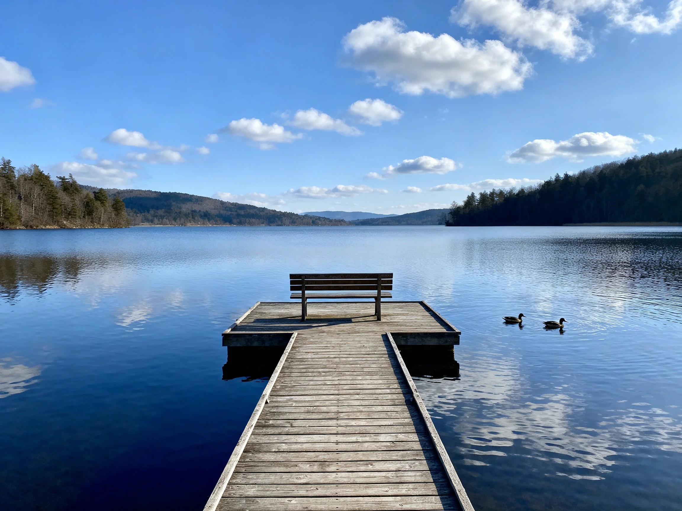 A Wooden Dock Extends Over Calm Lake Waters