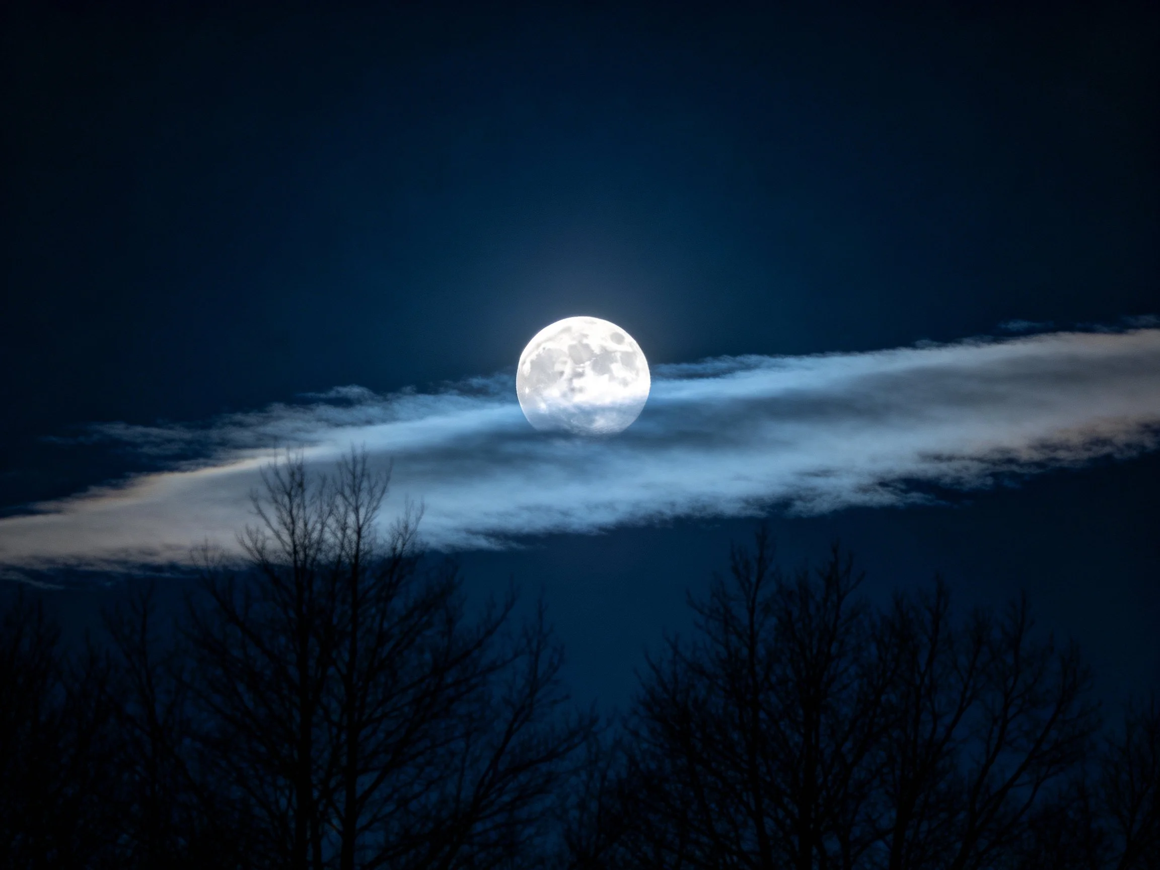 A bright full moon partially obscured by thin cloud streaks over silhouetted trees