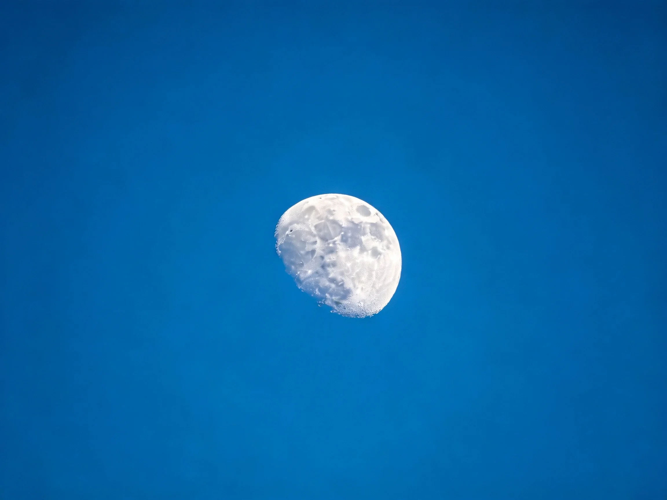 A bright half - moon shines in a deep blue sky
