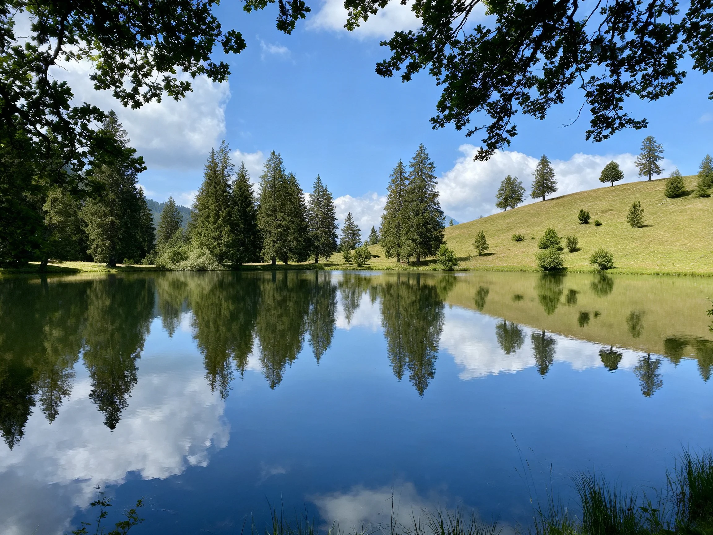 A calm lake reflecting evergreen trees and grassy hill under blue sky