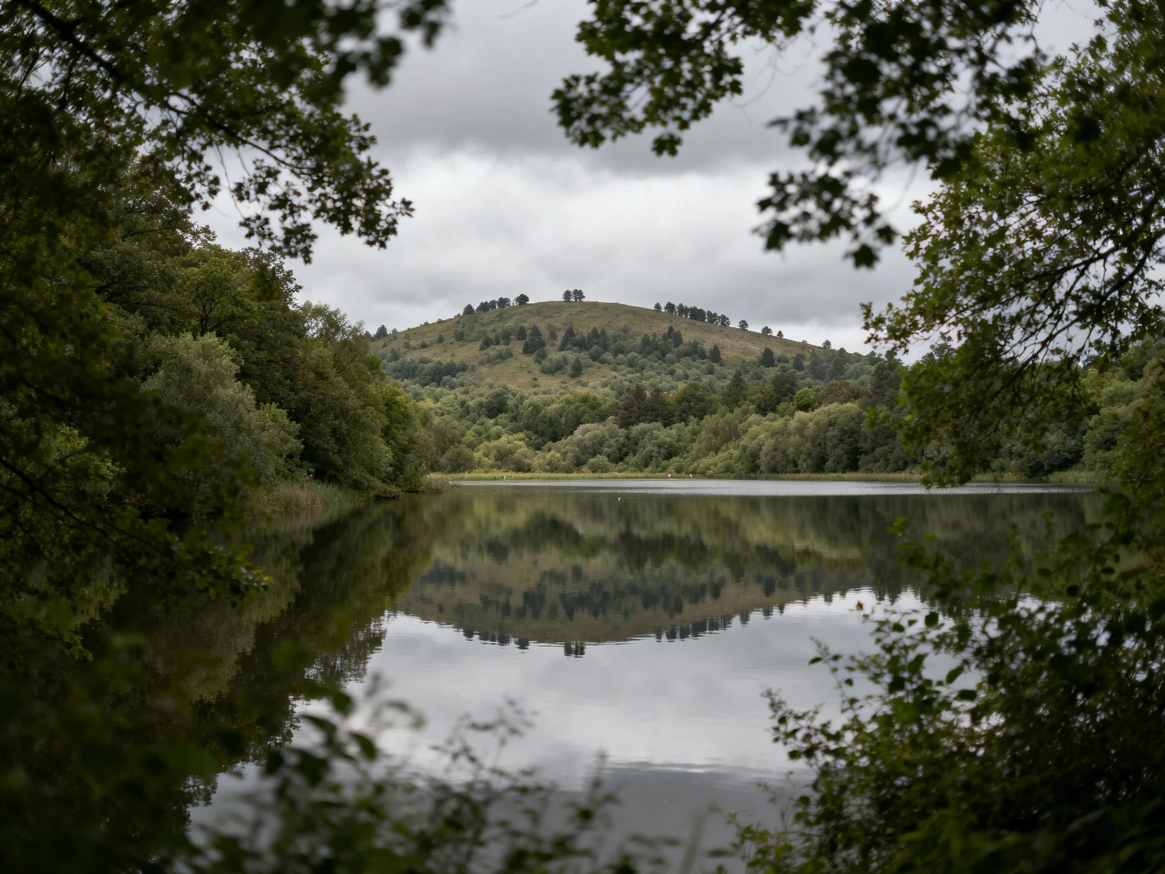 A calm lake reflects a forested hill under overcast skies