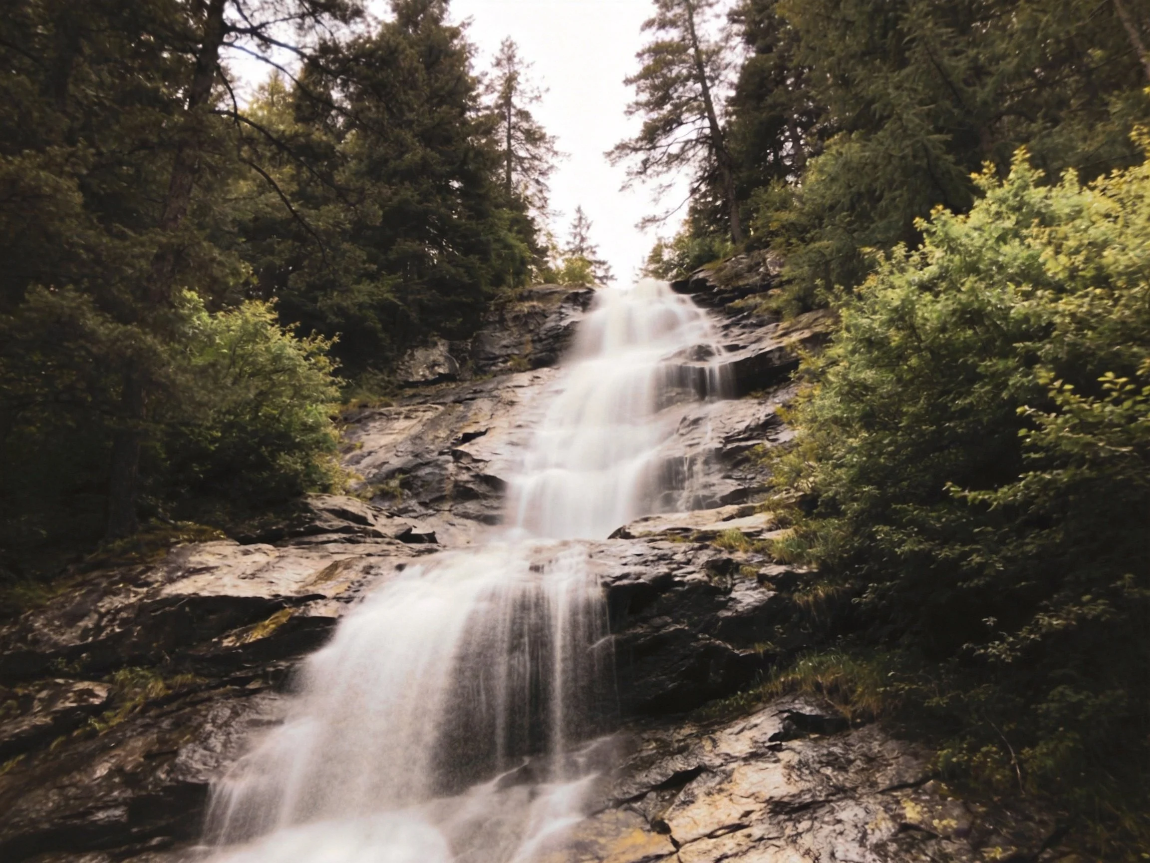 A cascading waterfall flows over dark rocks amid lush green foliage