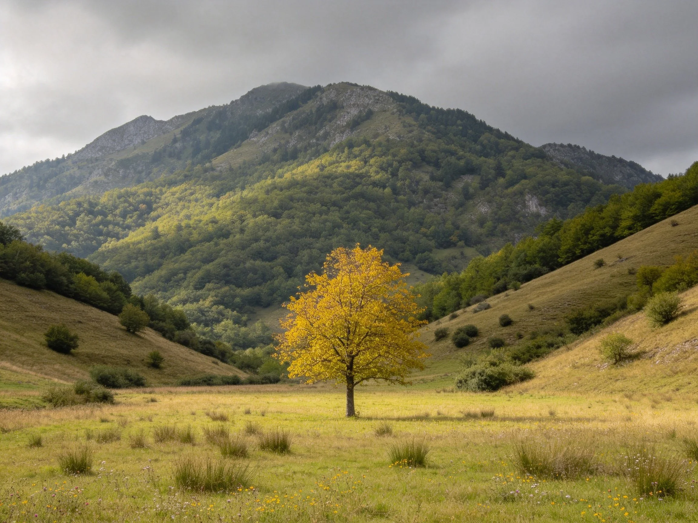 A golden tree stands alone in a scenic mountain valley