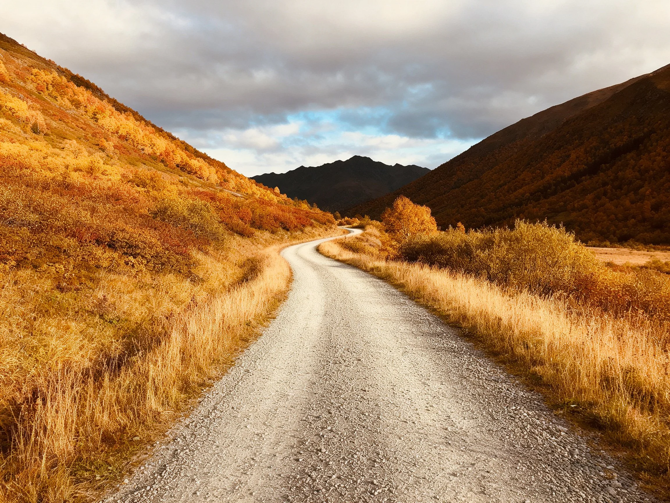 A gravel road winds through golden-hued autumn hills