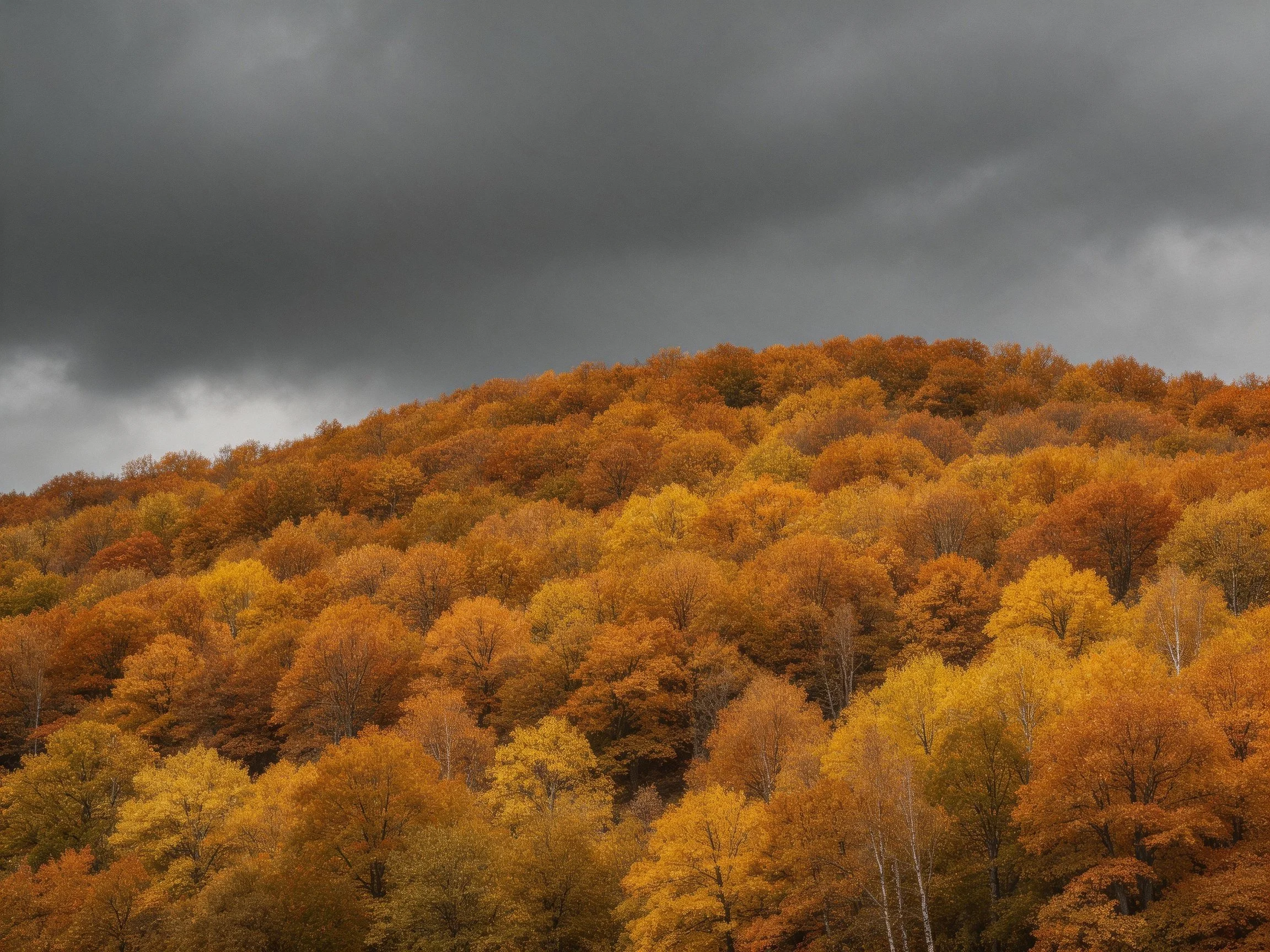 A hillside of autumn trees with dark cloudy sky