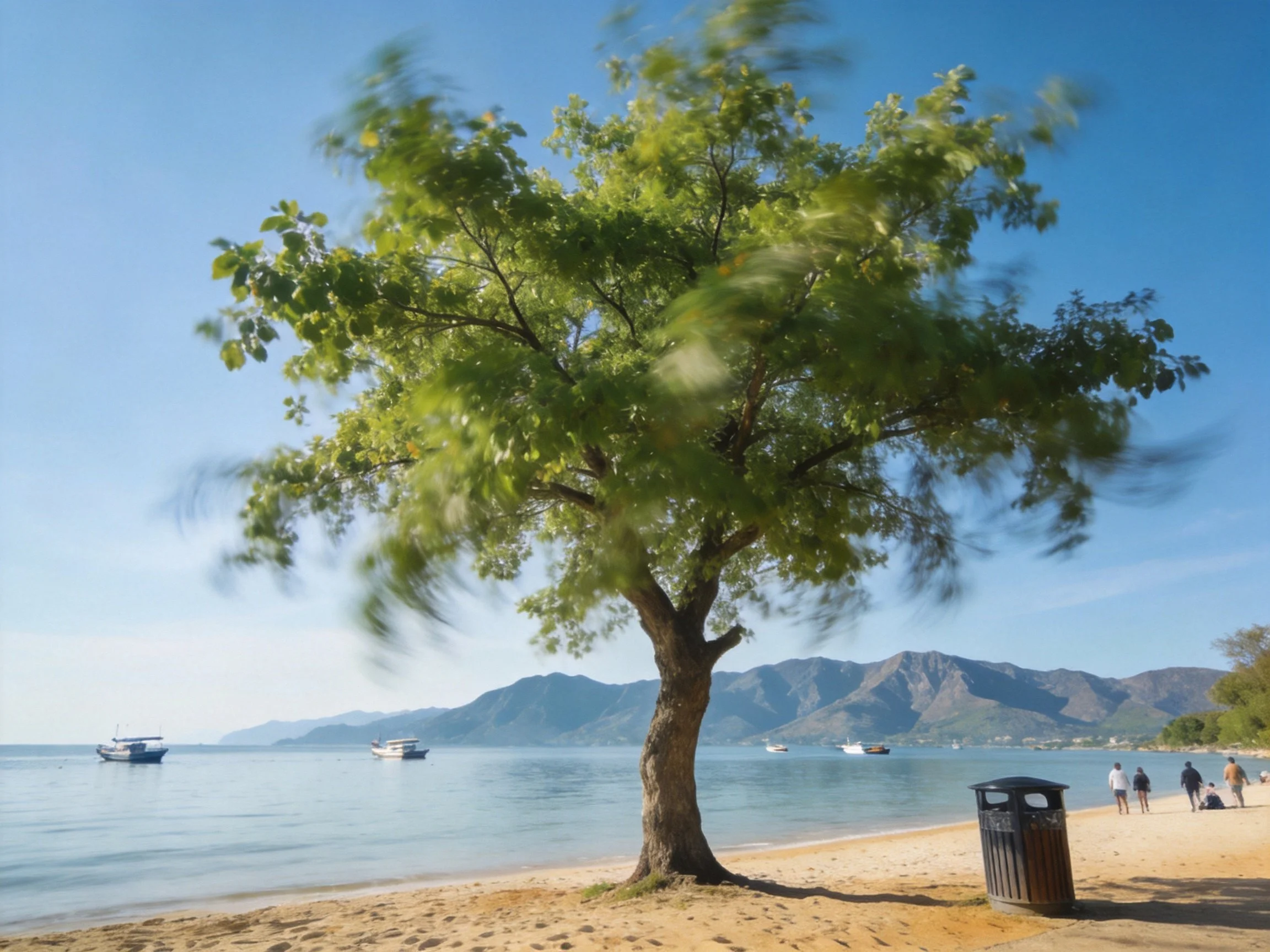 A large green tree on a sandy beach with calm waters and distant mountains