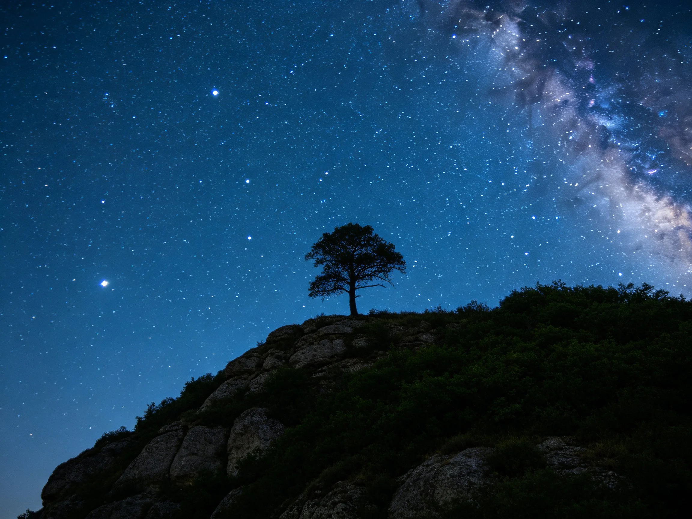 A lone tree atop a rocky hill beneath a star-filled night sky