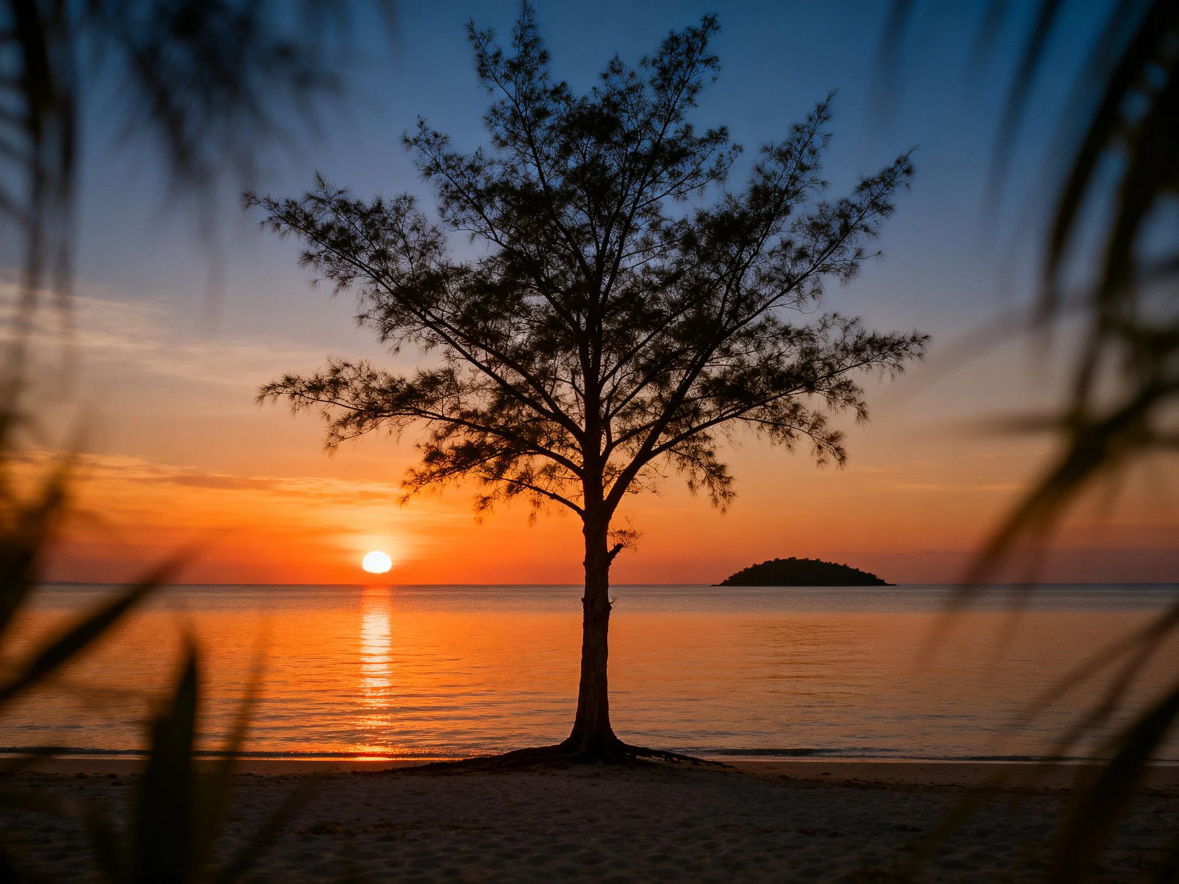 A lone tree silhouetted against a vibrant sunset over calm waters
