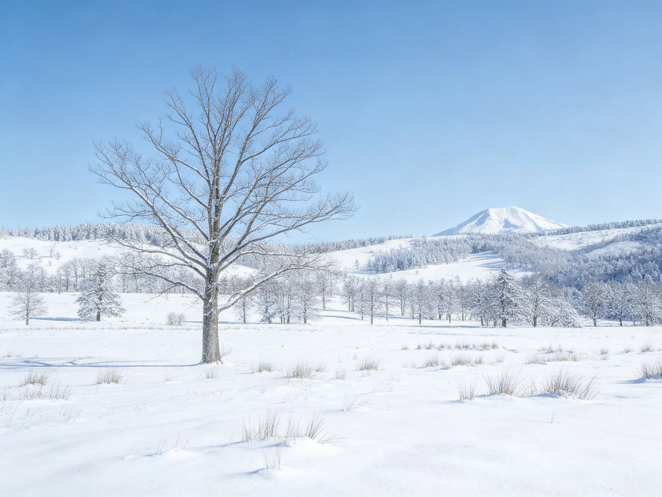 A lone tree stands in a snowy field near a snow-capped mountain