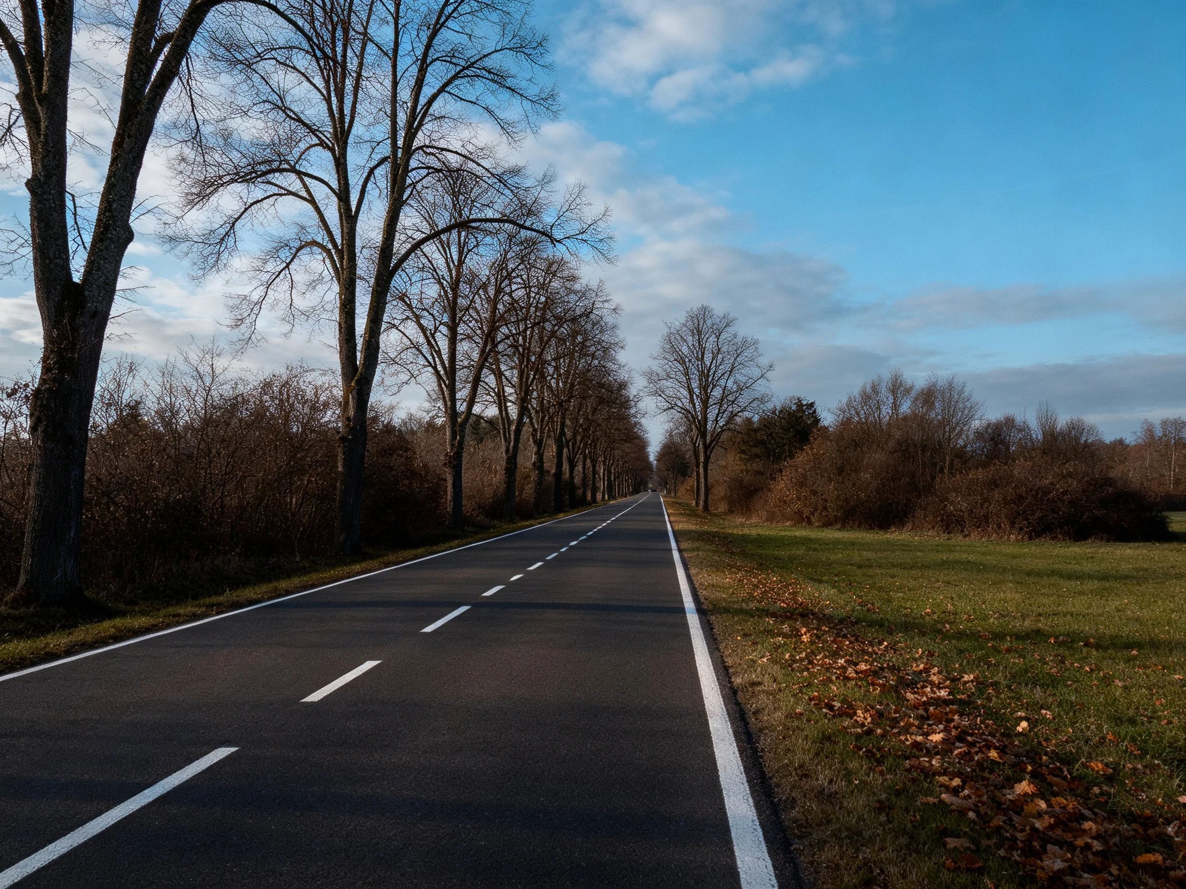 A long paved road flanked by leafless trees and grassy fields
