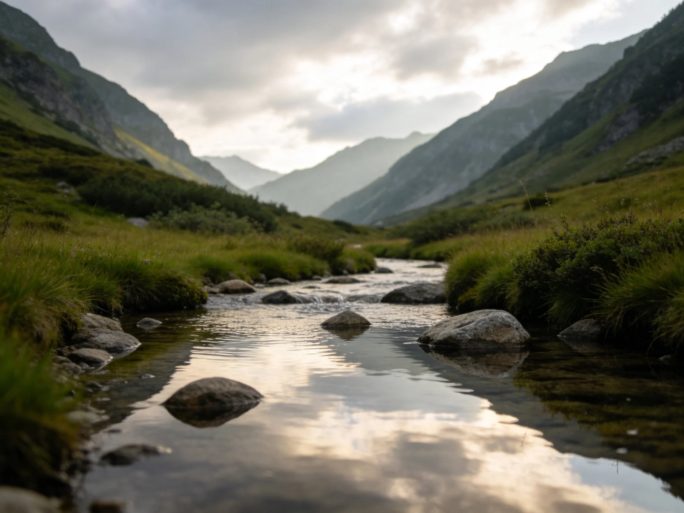A mountain stream winds through lush valleys with scattered rocks and misty mountains