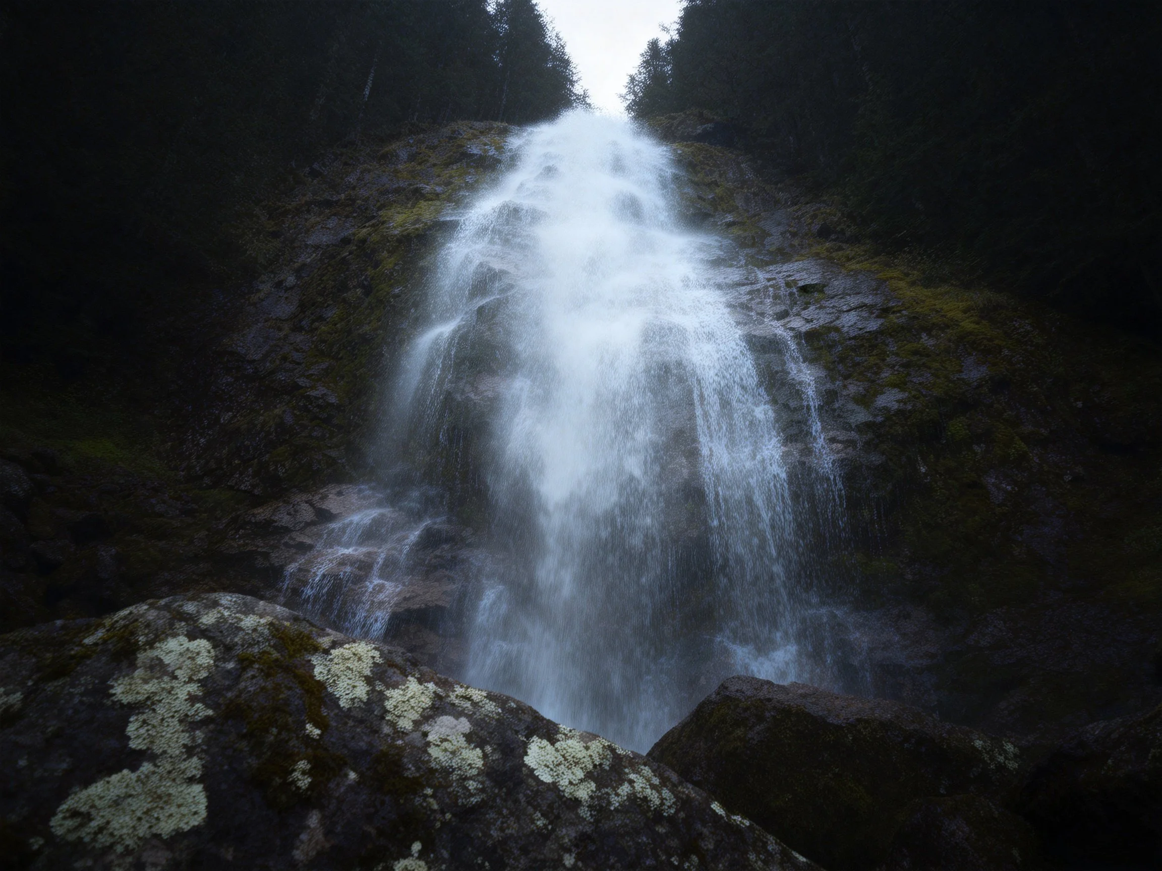 A powerful waterfall cascades down rocky cliffs beside dense evergreen forests