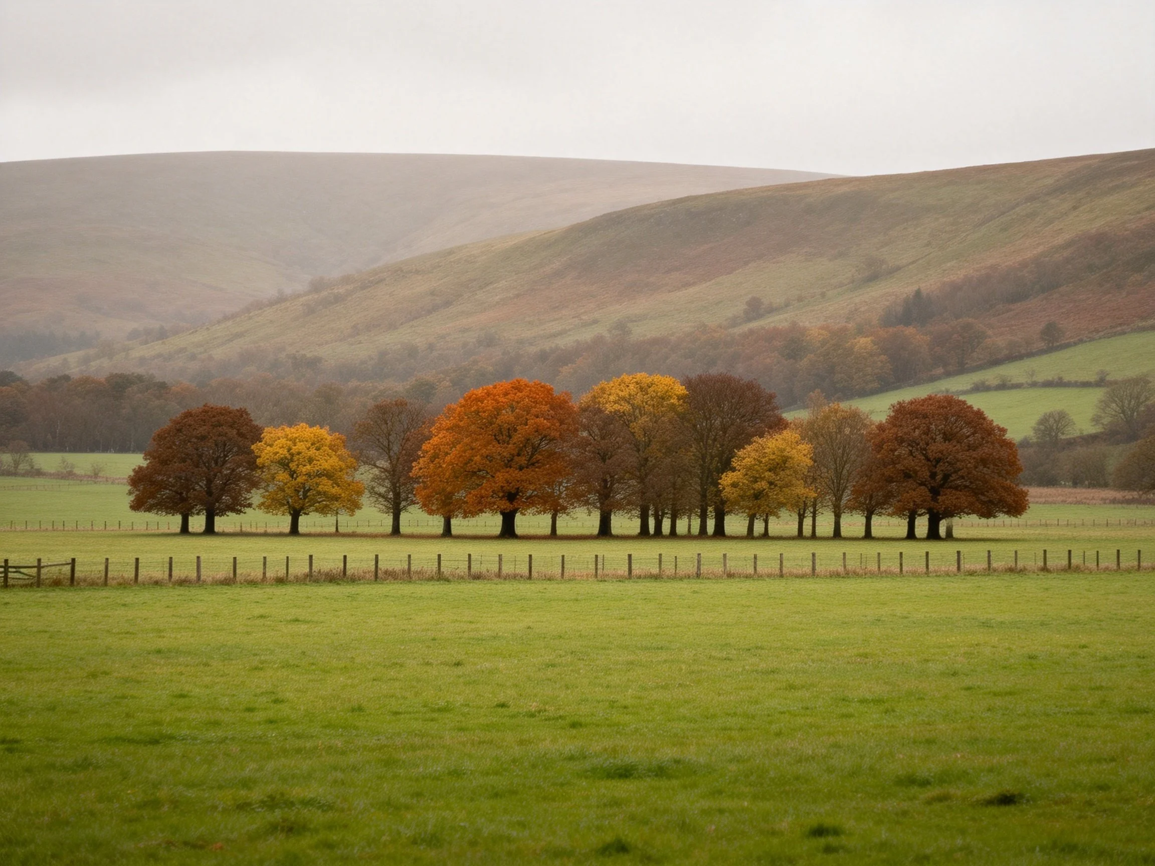 A row of fall-hued trees lines a fenced green field beneath rolling brown hills