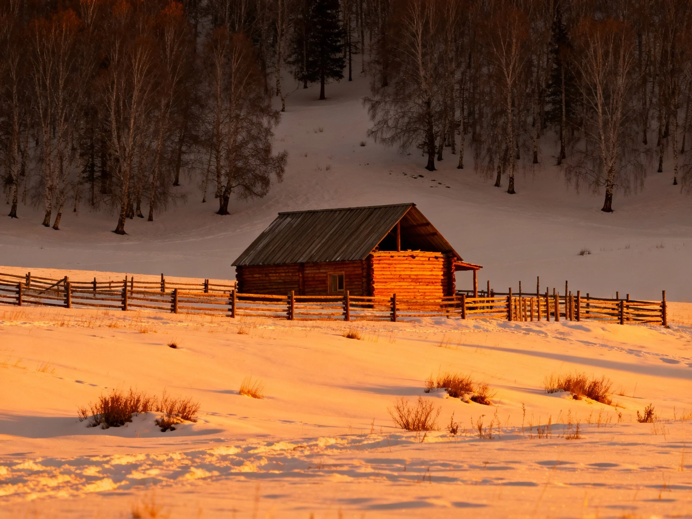 A rustic log cabin bathed in golden winter sunlightnear snow-covered woods