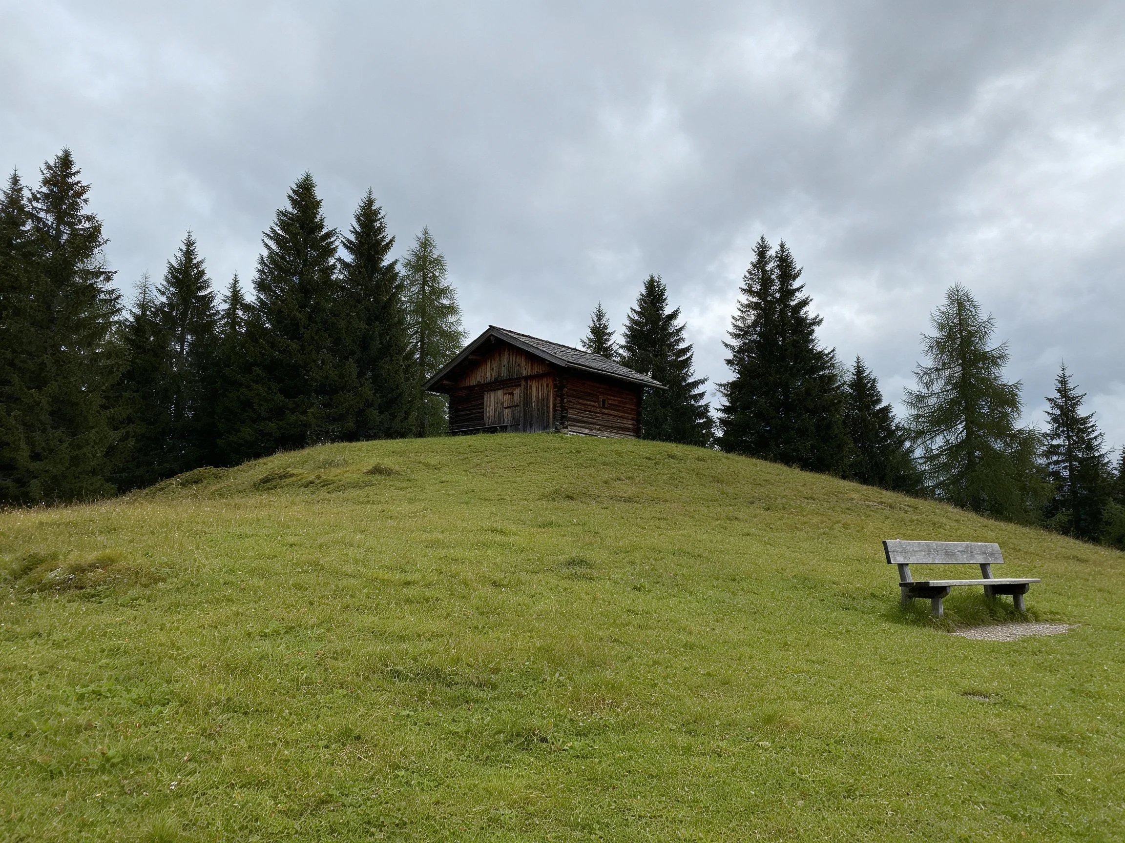 A rustic wooden cabin atop a lush green hill with tall evergreens