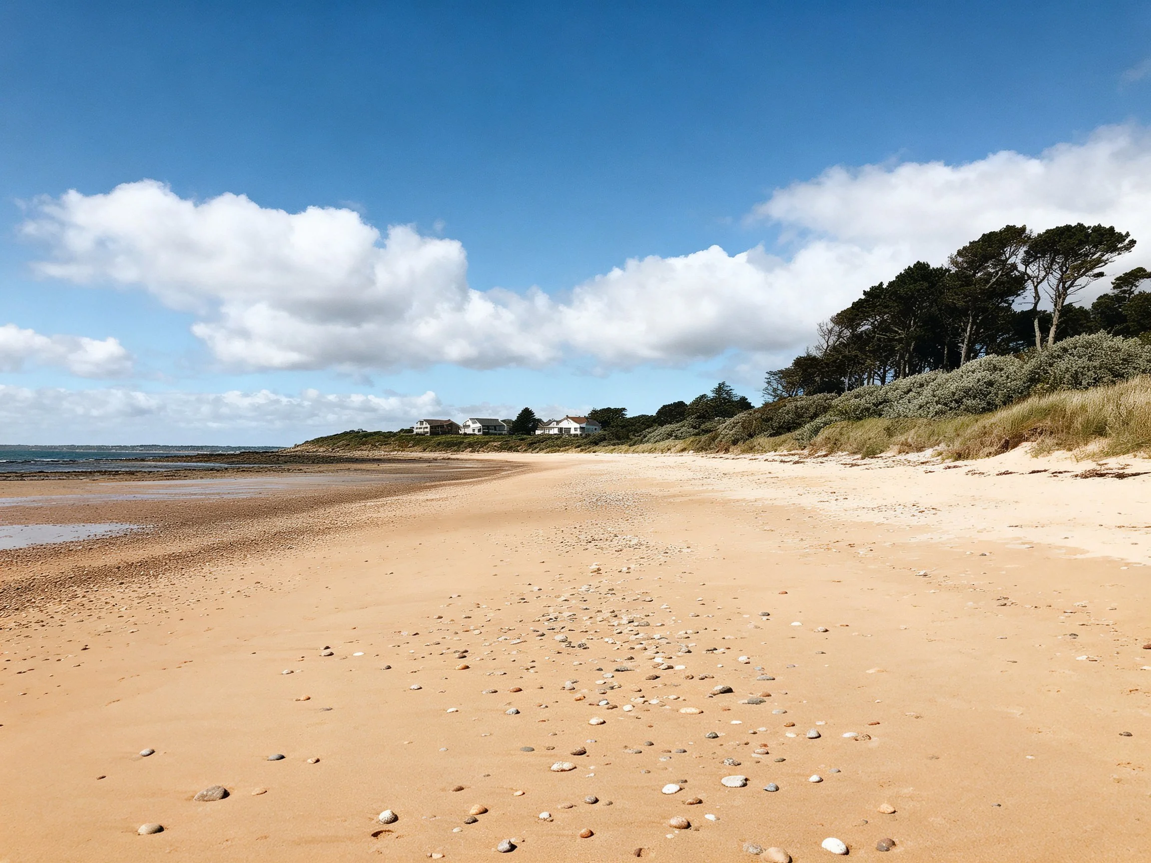 A sandy beach with scattered pebbles, clear blue skies, and distant homes