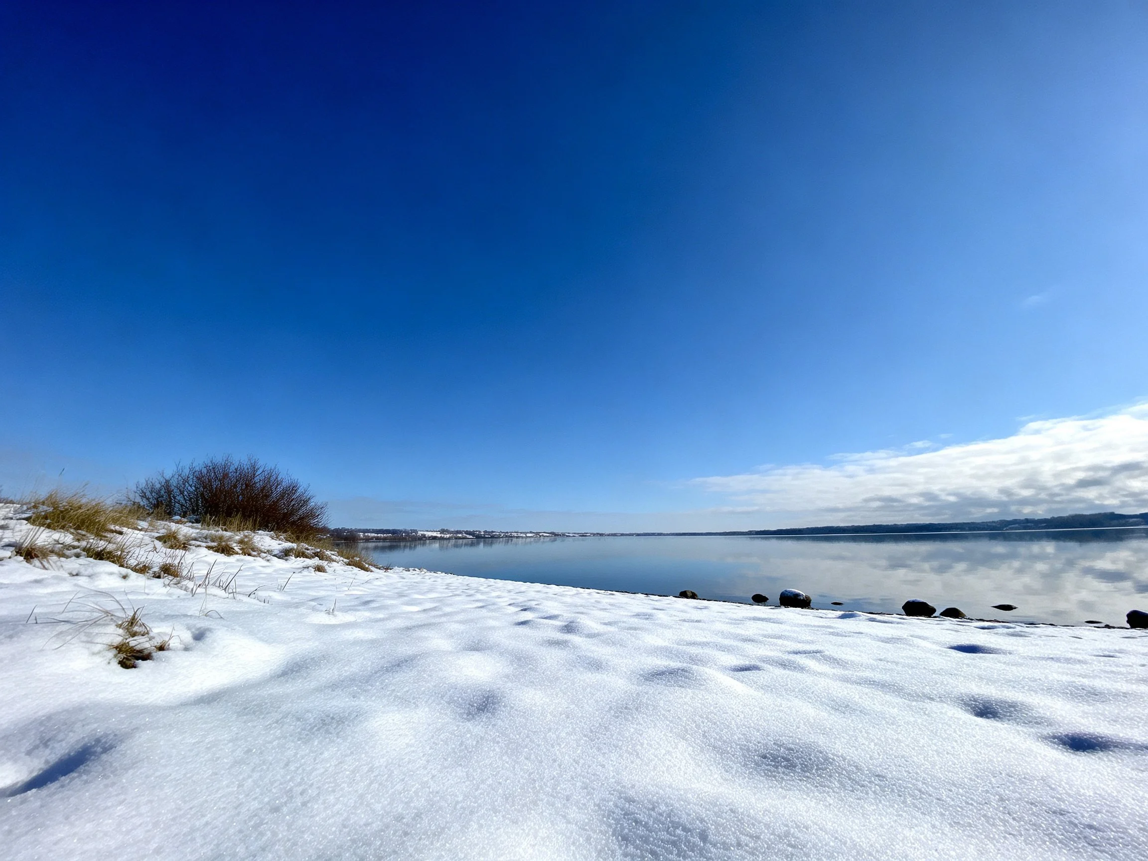 A snow - covered shore beside a calm lake under a vivid blue sky