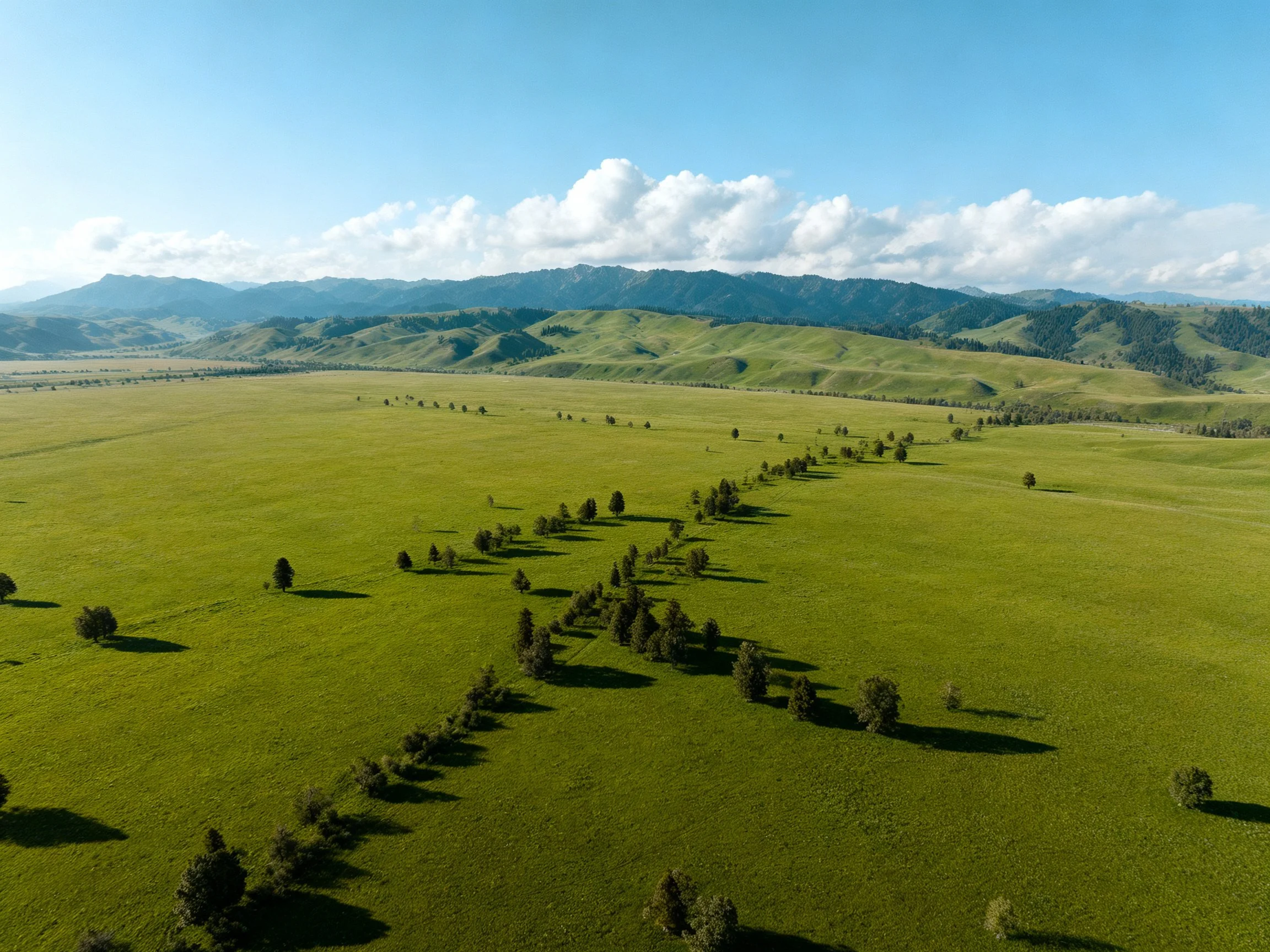 A sprawling green meadow with scattered trees and distant mountains