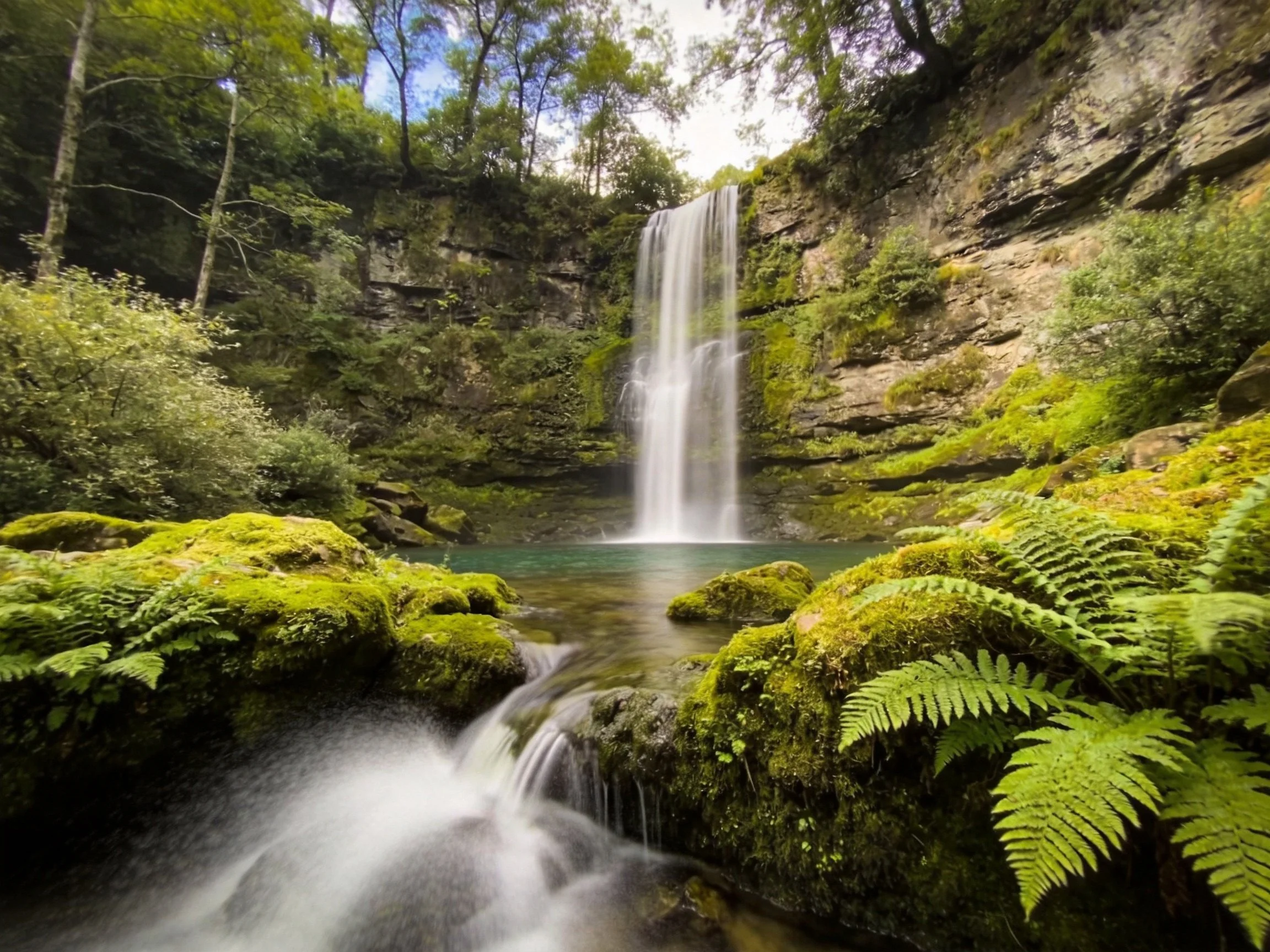 A tall waterfall cascades into a pool among mossy rocks and ferns