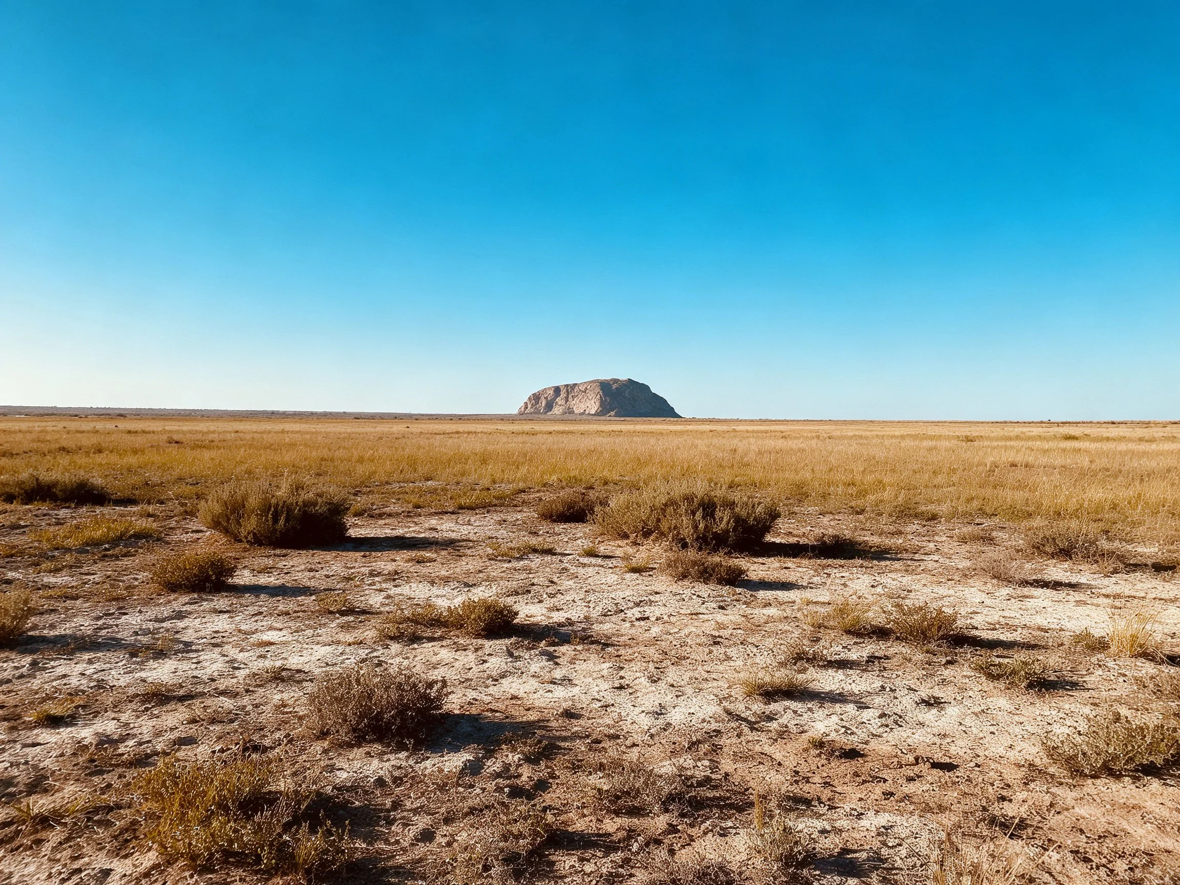 A vast arid plain with scattered shrubs and distant rocky hill under clear blue sky